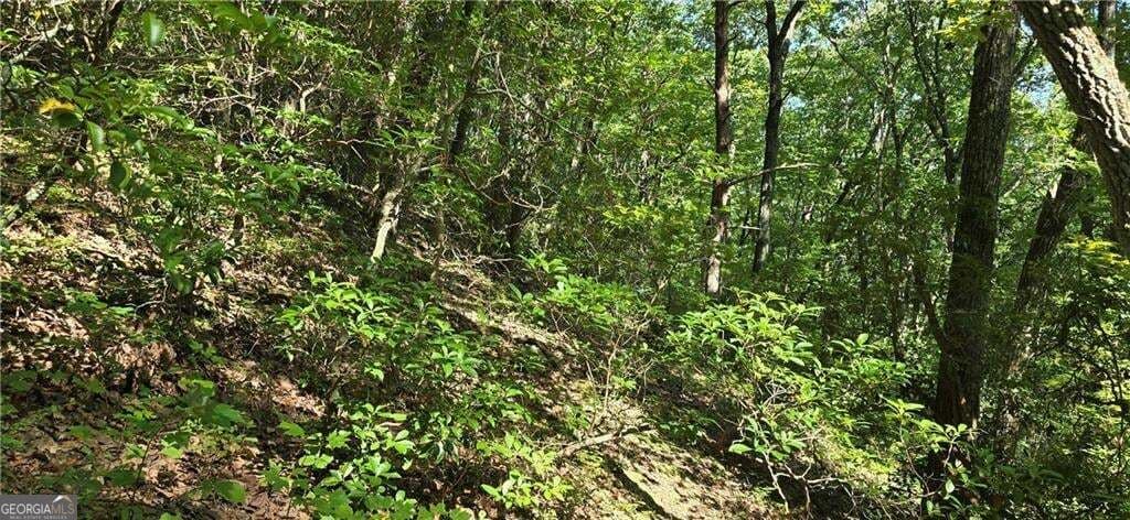 unimproved land for sale at 0 Firetower Road, Jasper, GA 30143 — photo 2