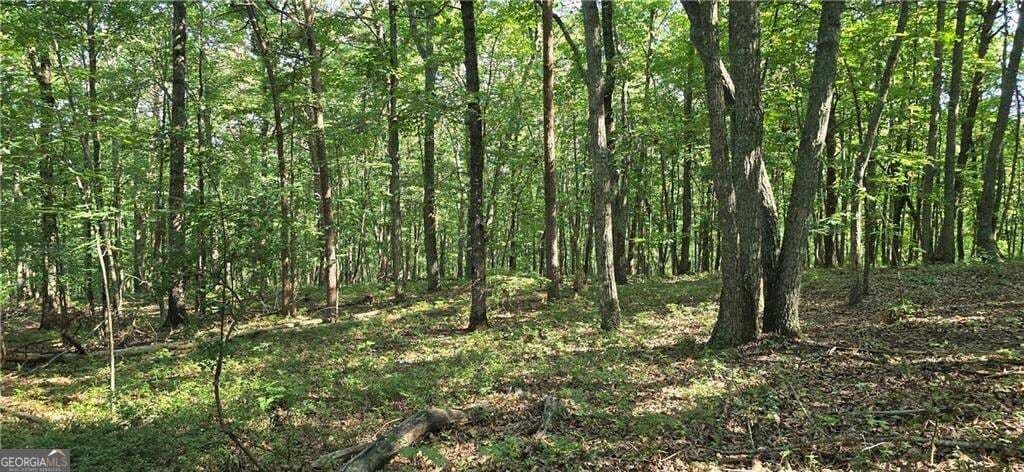 unimproved land for sale at 0 Firetower Road, Jasper, GA 30143 — photo 1 of 2