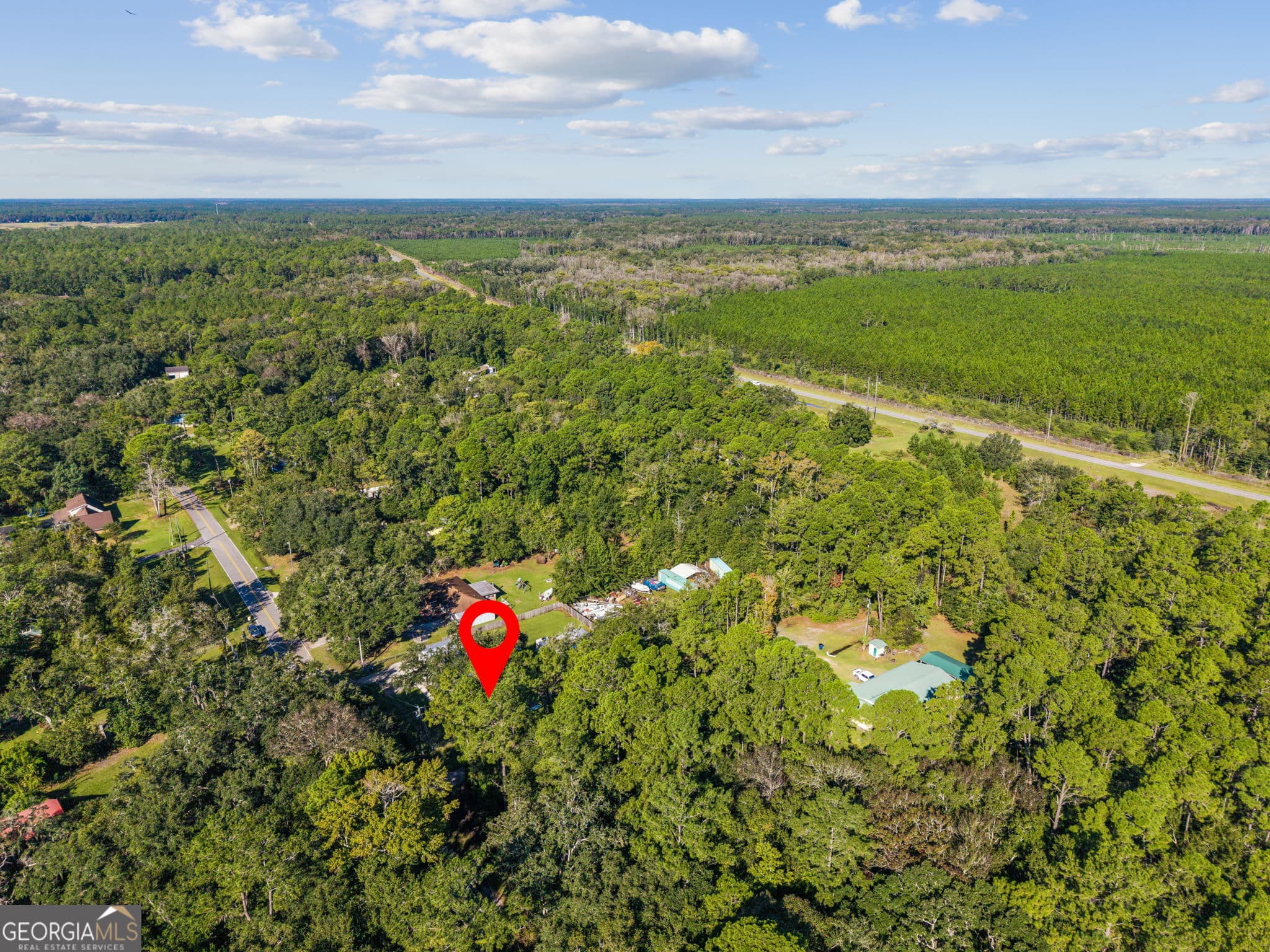 unimproved land for sale at V/L 28 GOWEN S/D, Woodbine, GA 31569 — photo 6