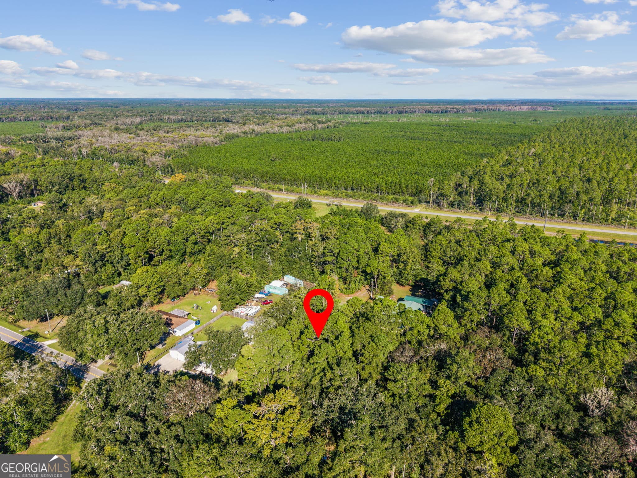 unimproved land for sale at V/L 28 GOWEN S/D, Woodbine, GA 31569 — photo 5