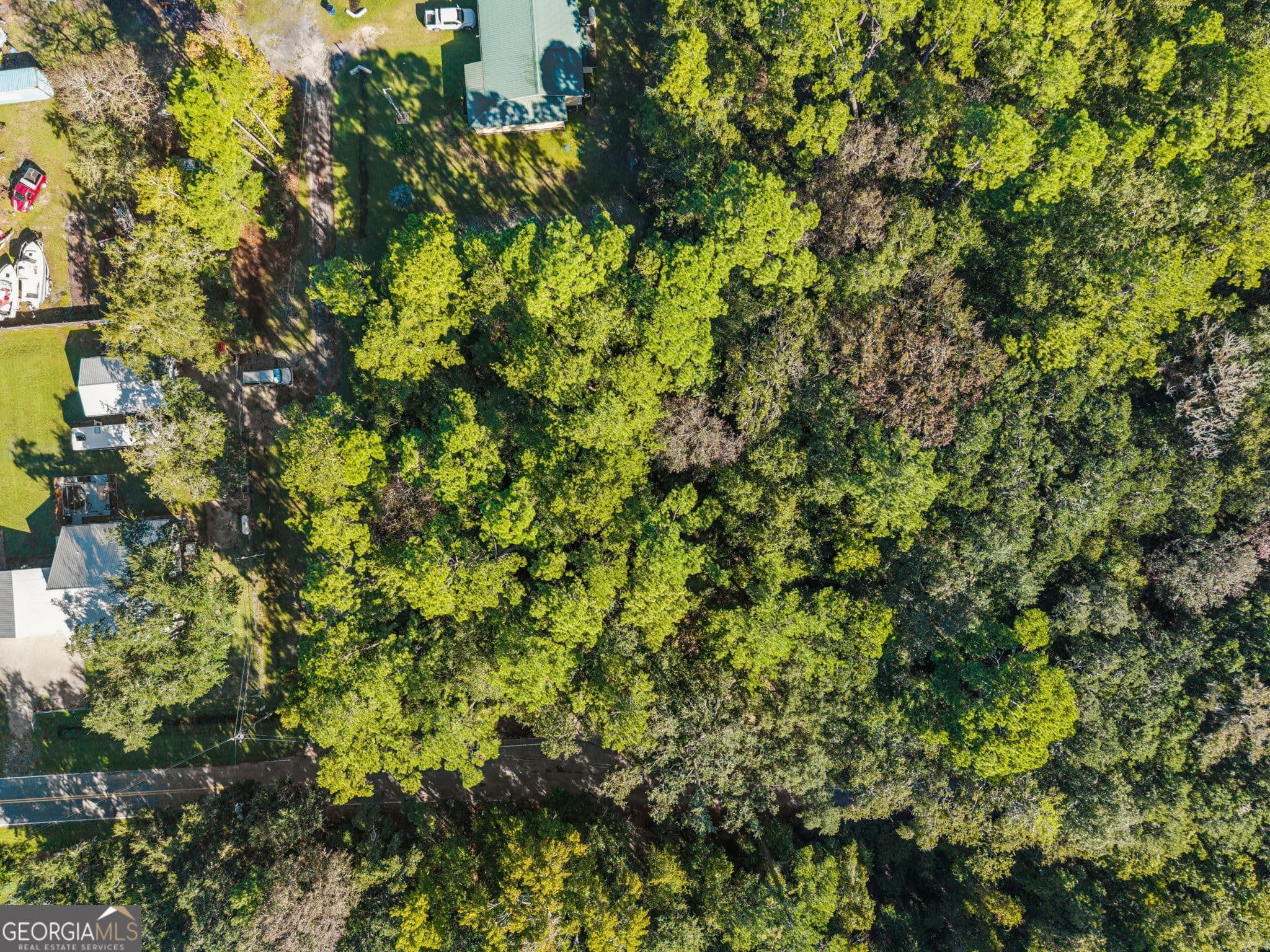 unimproved land for sale at V/L 28 GOWEN S/D, Woodbine, GA 31569 — photo 9