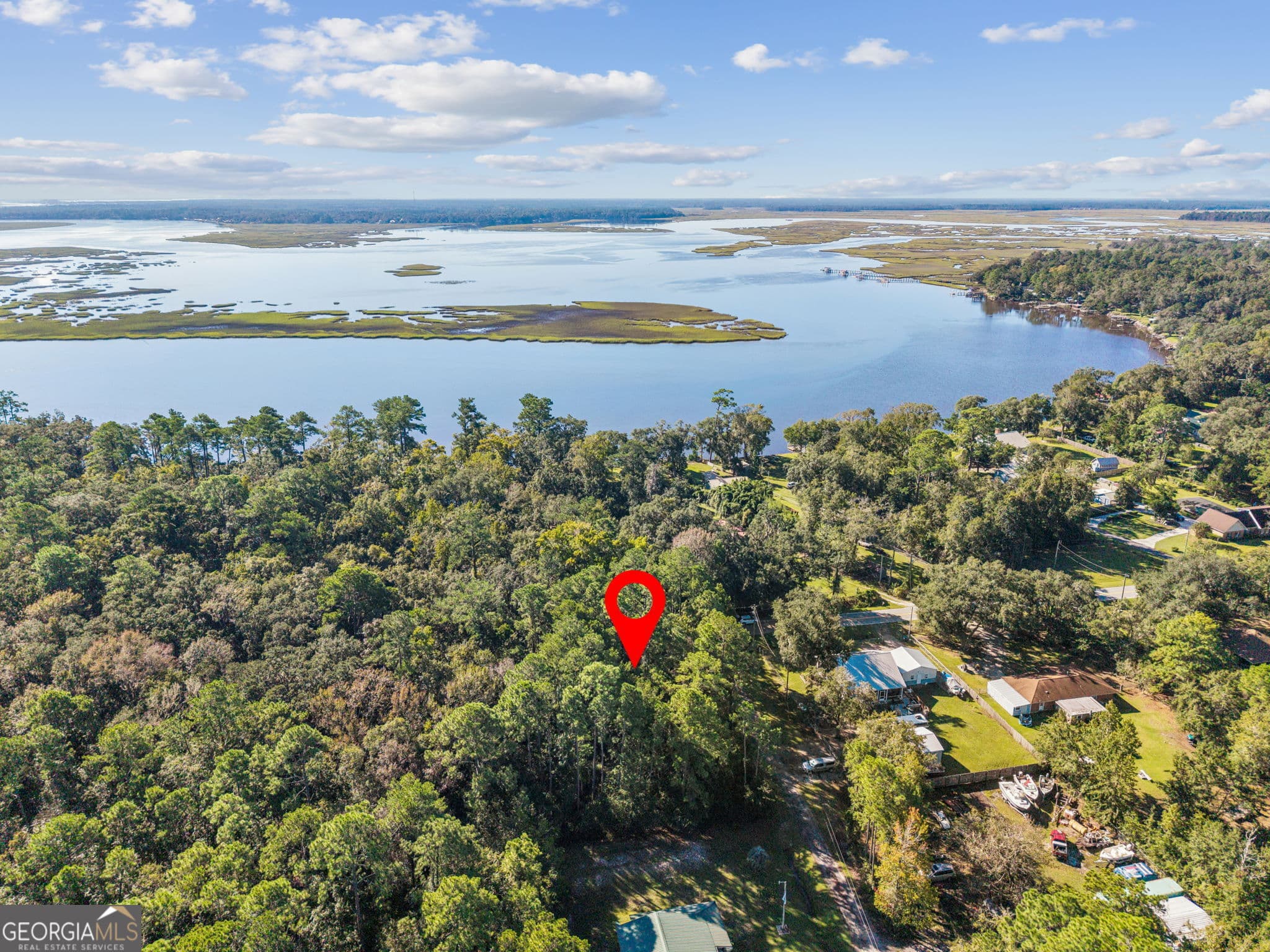 unimproved land for sale at V/L 28 GOWEN S/D, Woodbine, GA 31569 — photo 8