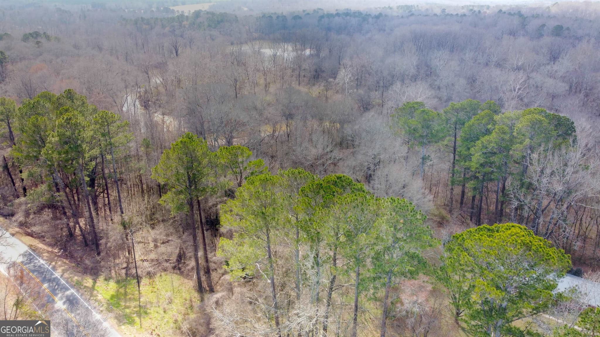 agriculture for sale at 0 Hwy 53, Hoschton, GA 30548 — photo 2