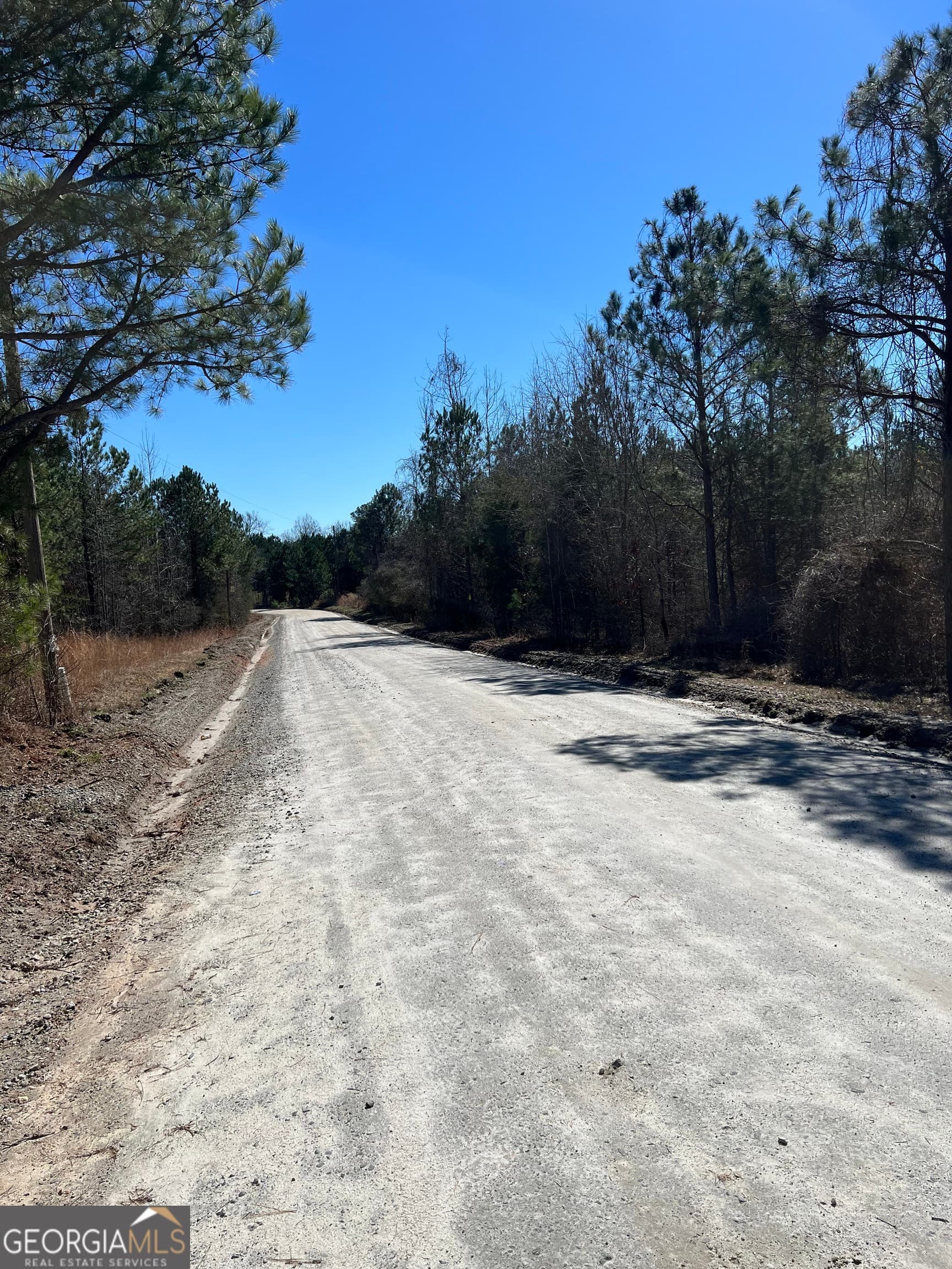 agriculture for sale at 0 Old Rico Road, Chattahoochee Hills, GA 30268 — photo 6