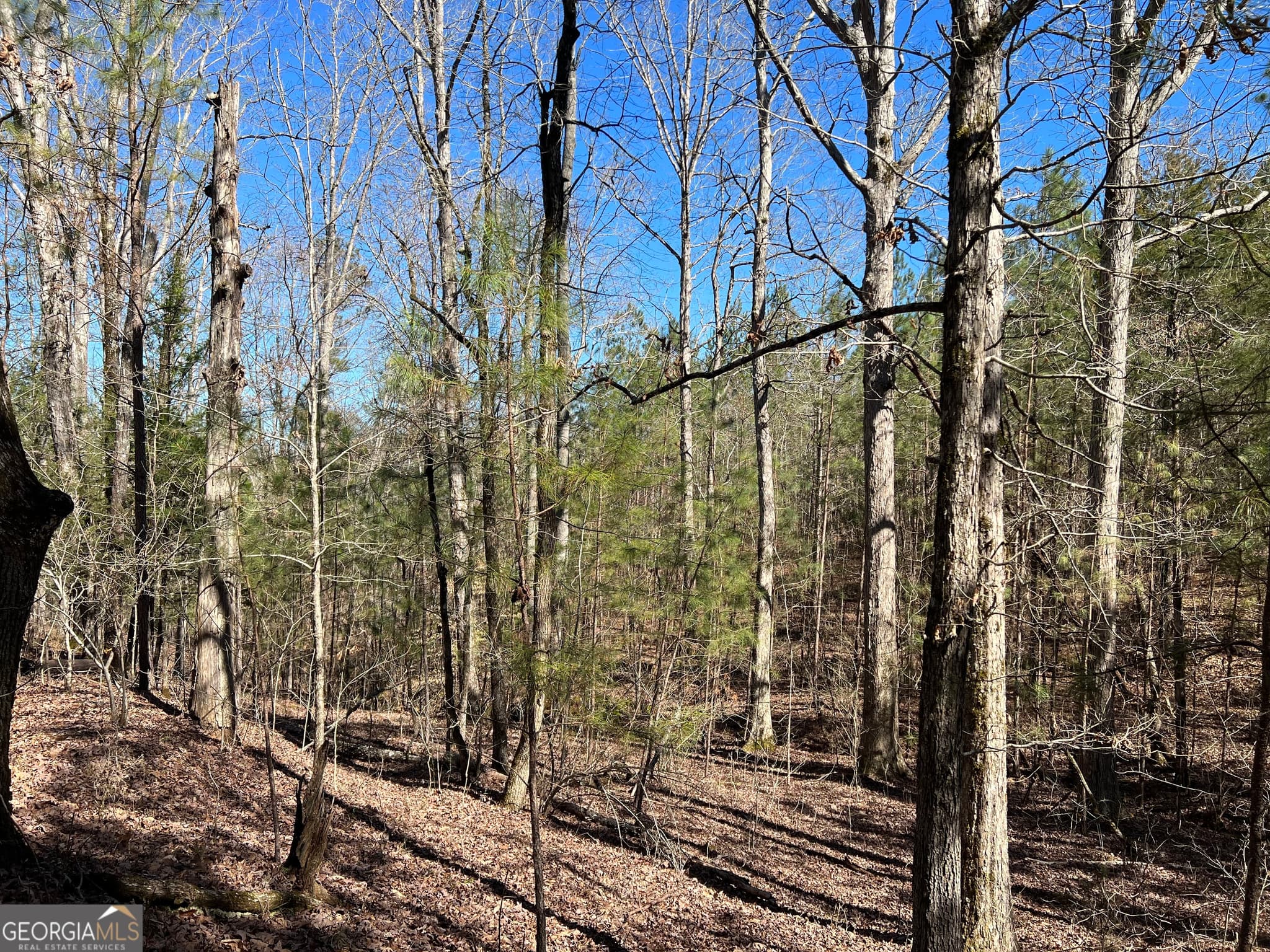 agriculture for sale at 0 Old Rico Road, Chattahoochee Hills, GA 30268 — photo 7