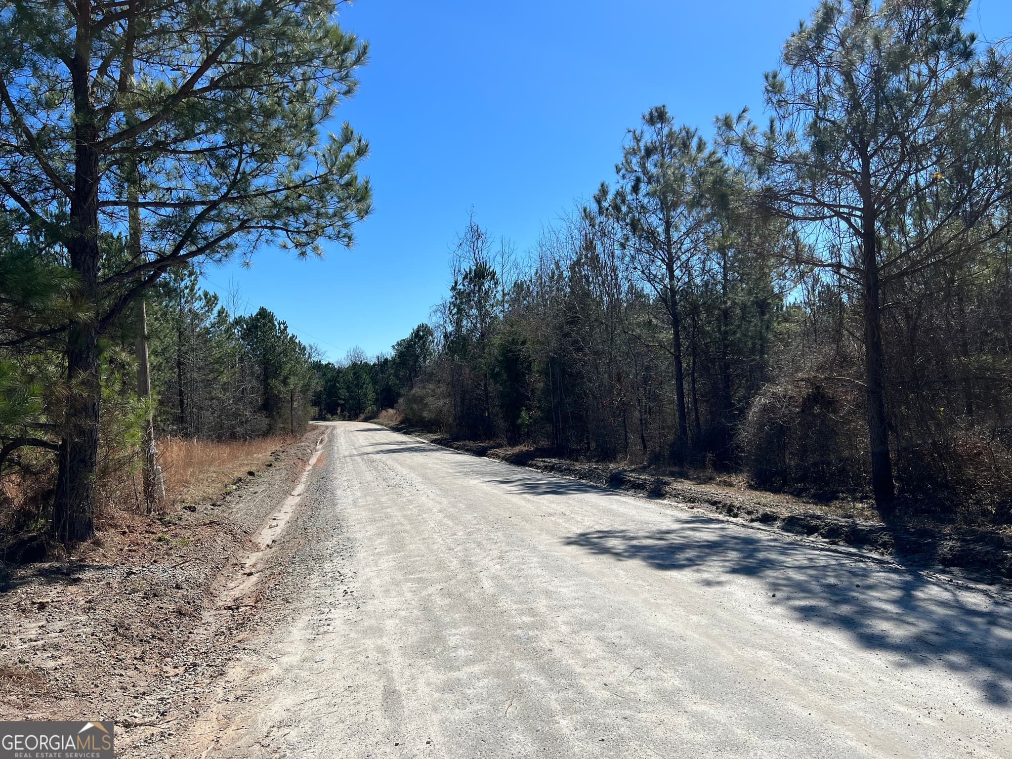 agriculture for sale at 0 Old Rico Road, Chattahoochee Hills, GA 30268 — photo 3