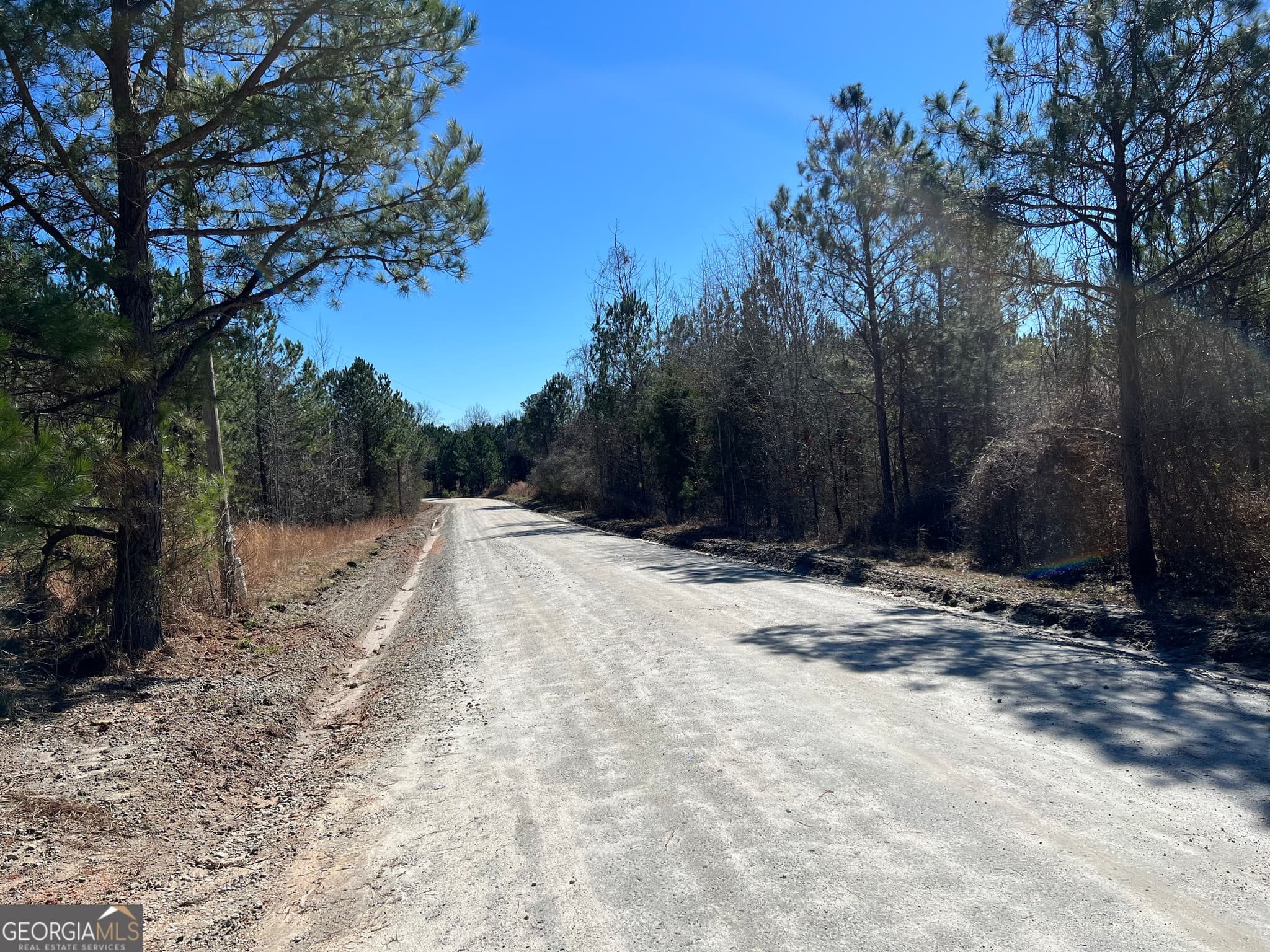 agriculture for sale at 0 Old Rico Road, Chattahoochee Hills, GA 30268 — photo 5
