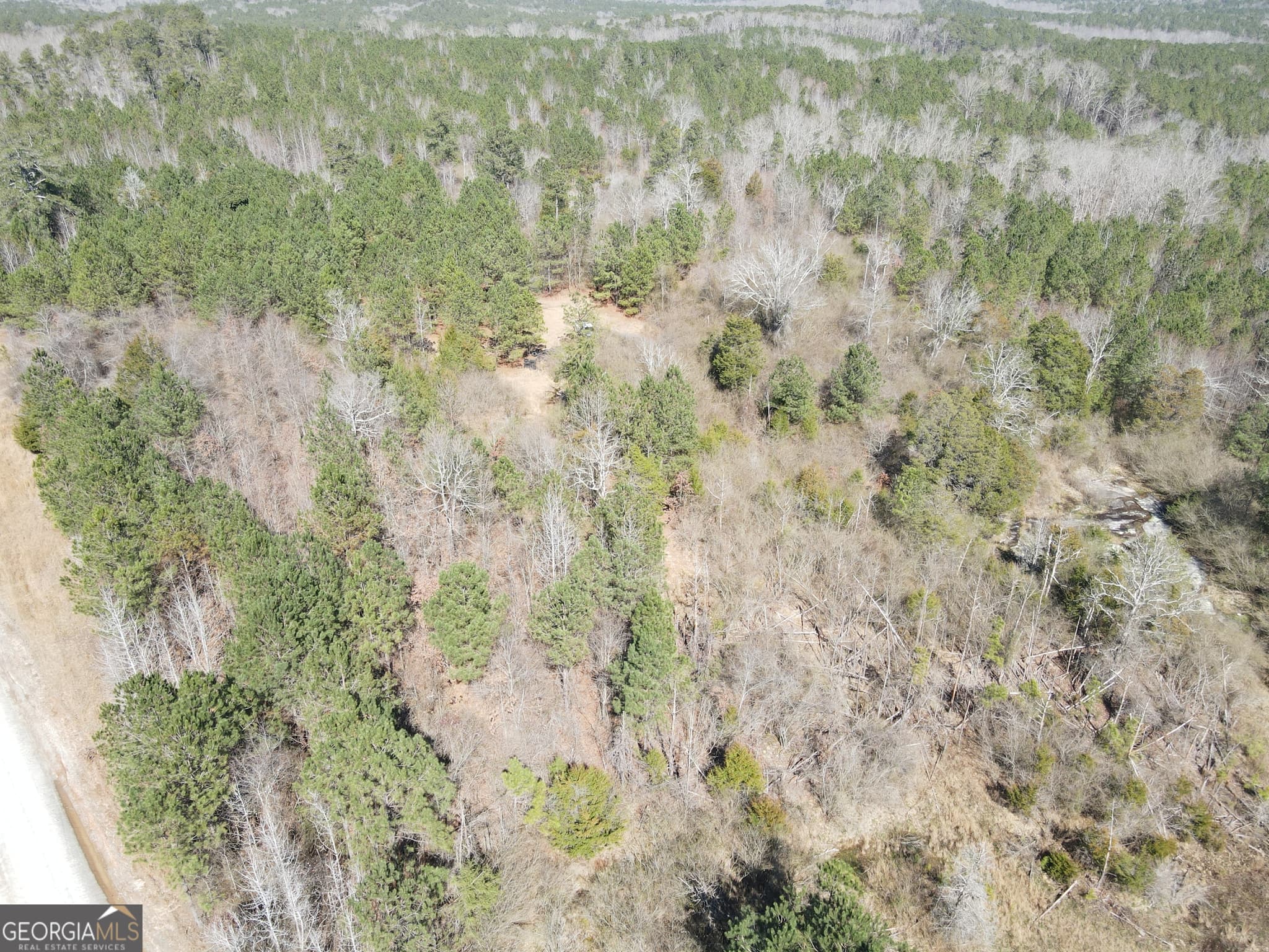 agriculture for sale at 0 Old Rico Road, Chattahoochee Hills, GA 30268 — photo 10