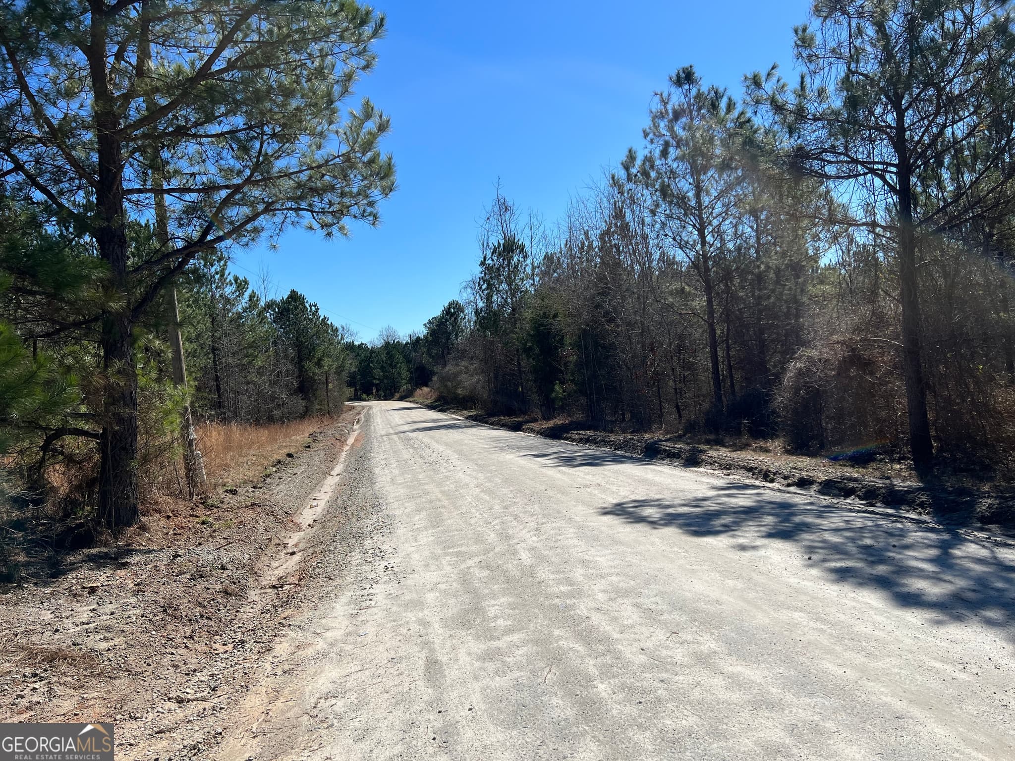 agriculture for sale at 0 Old Rico Road, Chattahoochee Hills, GA 30268 — photo 4