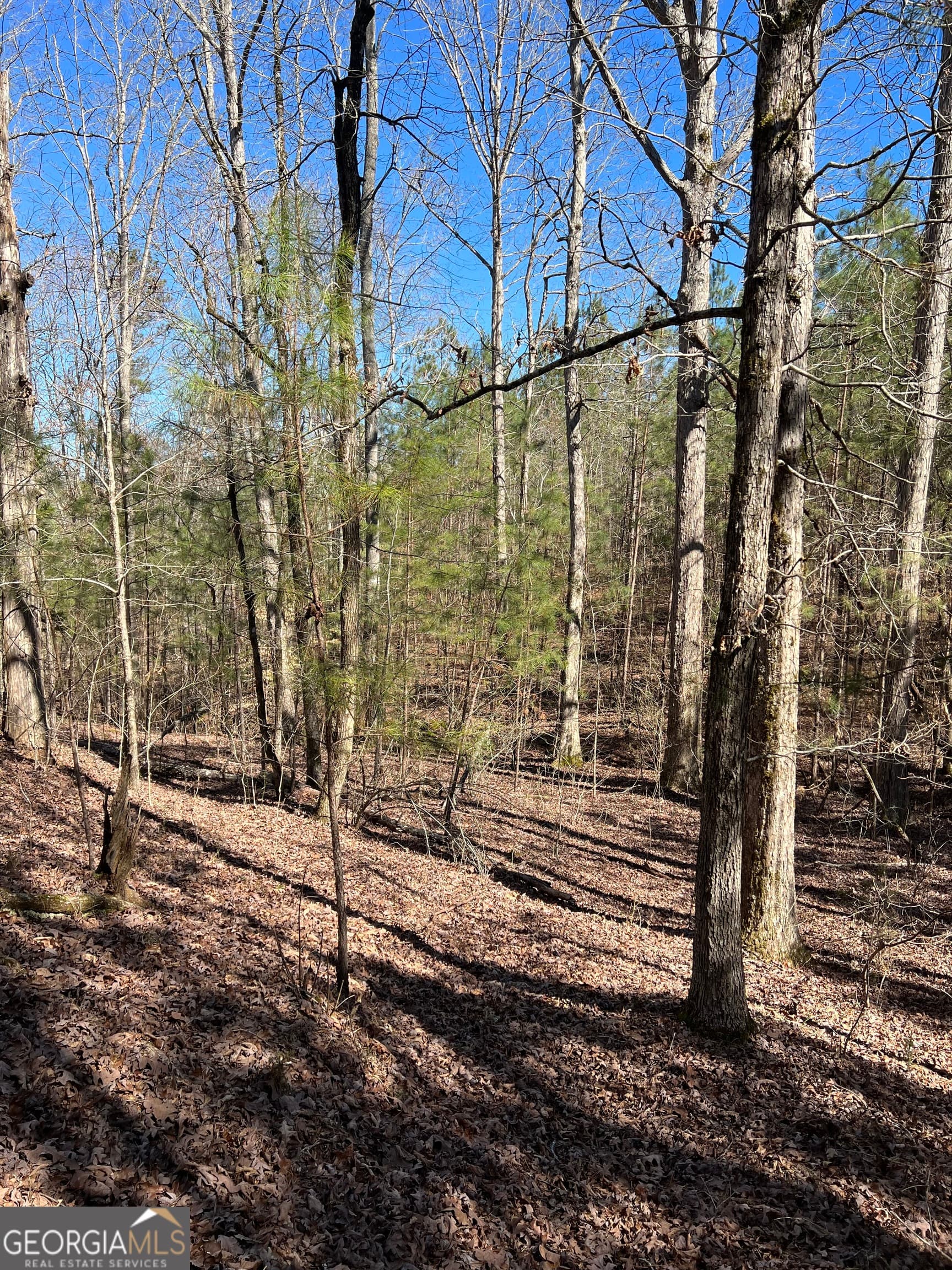 agriculture for sale at 0 Old Rico Road, Chattahoochee Hills, GA 30268 — photo 8