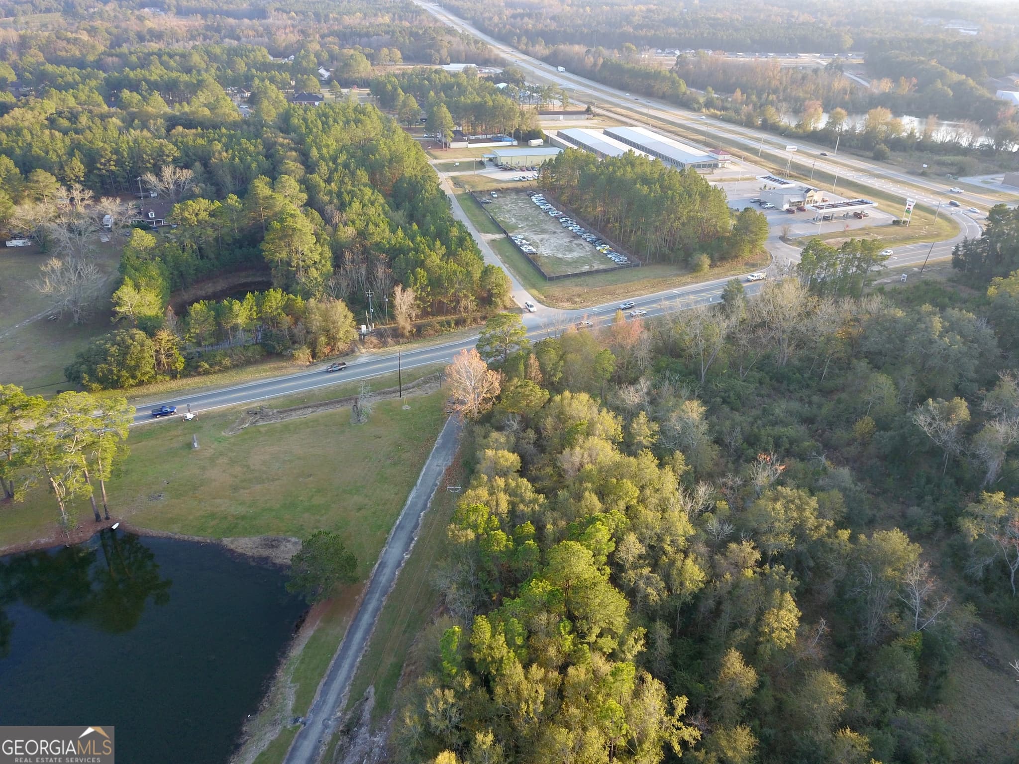 agriculture for sale at 0 Highway 301, Statesboro, GA 30461 — photo 2