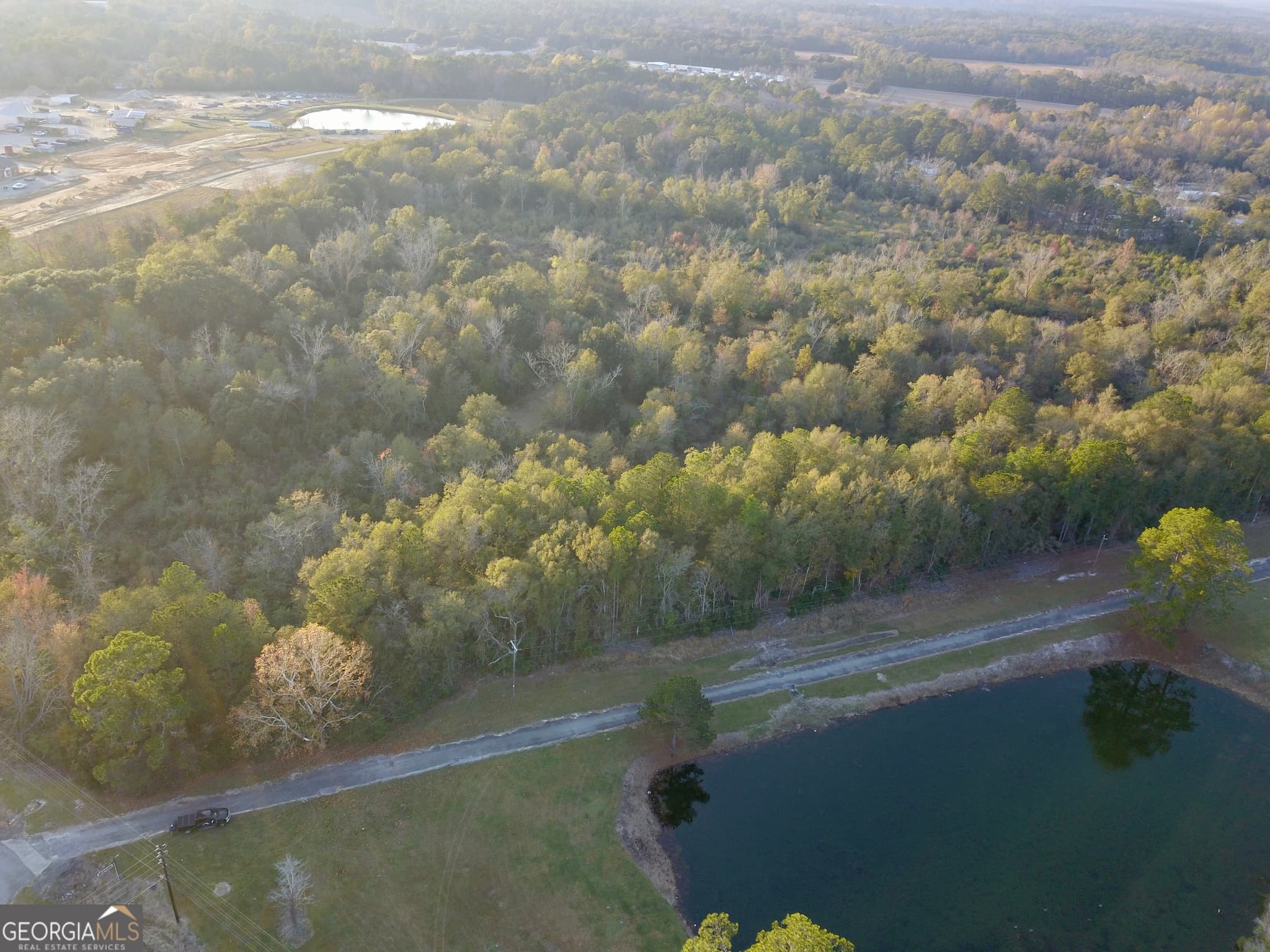 agriculture for sale at 0 Highway 301, Statesboro, GA 30461 — photo 6
