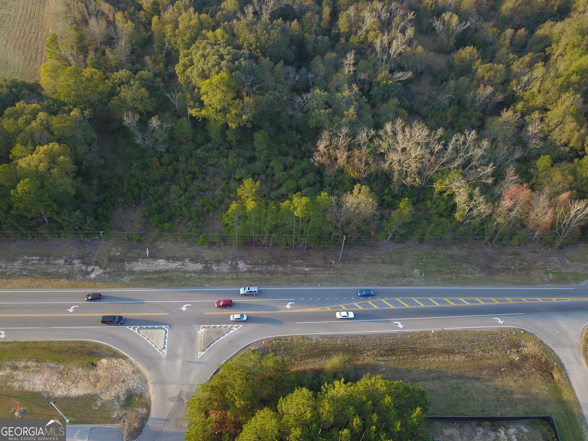 agriculture for sale at 0 Highway 301, Statesboro, GA 30461 — photo 7