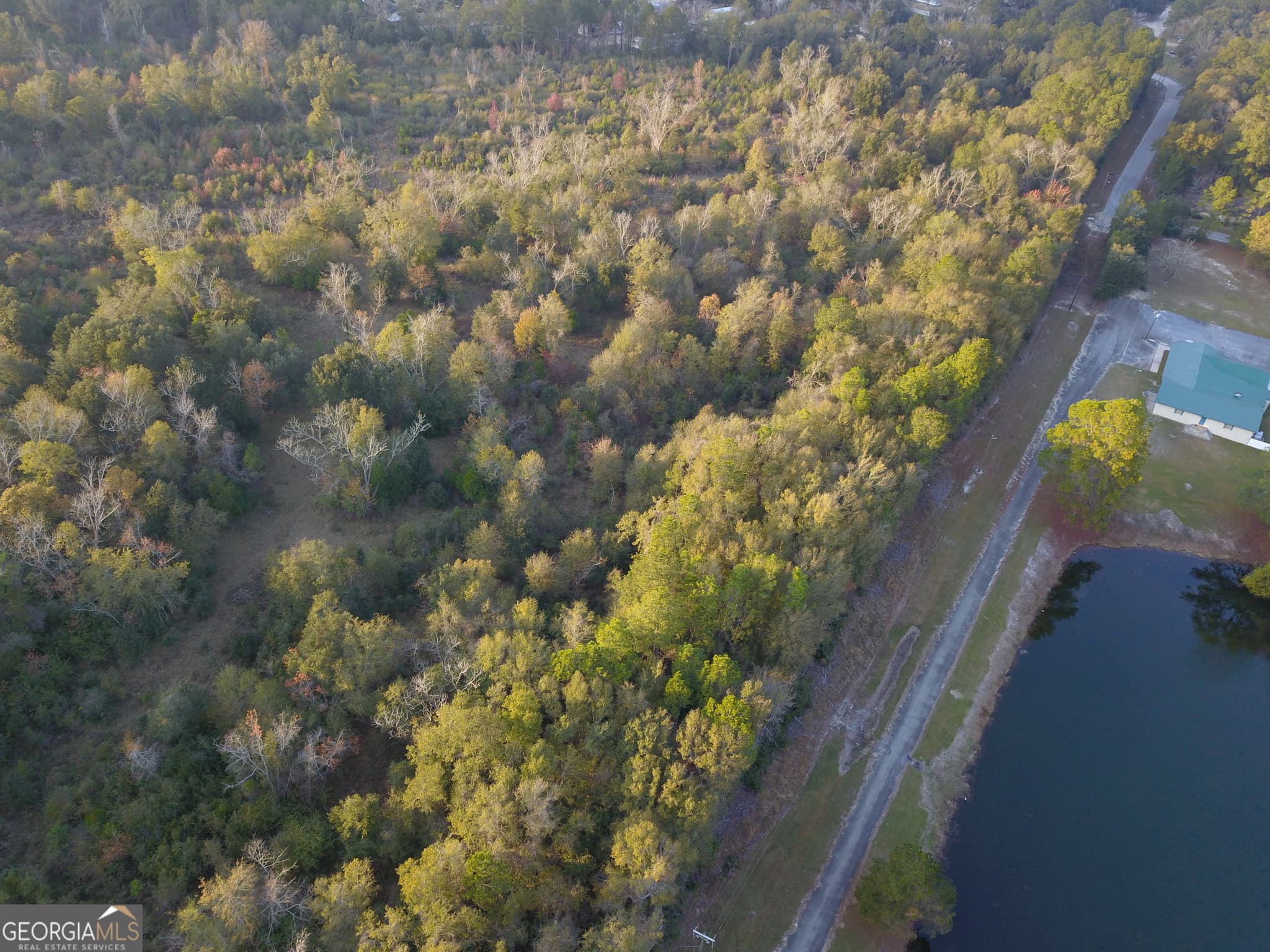 agriculture for sale at 0 Highway 301, Statesboro, GA 30461 — photo 3
