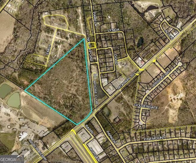 agriculture for sale at 0 Highway 301, Statesboro, GA 30461