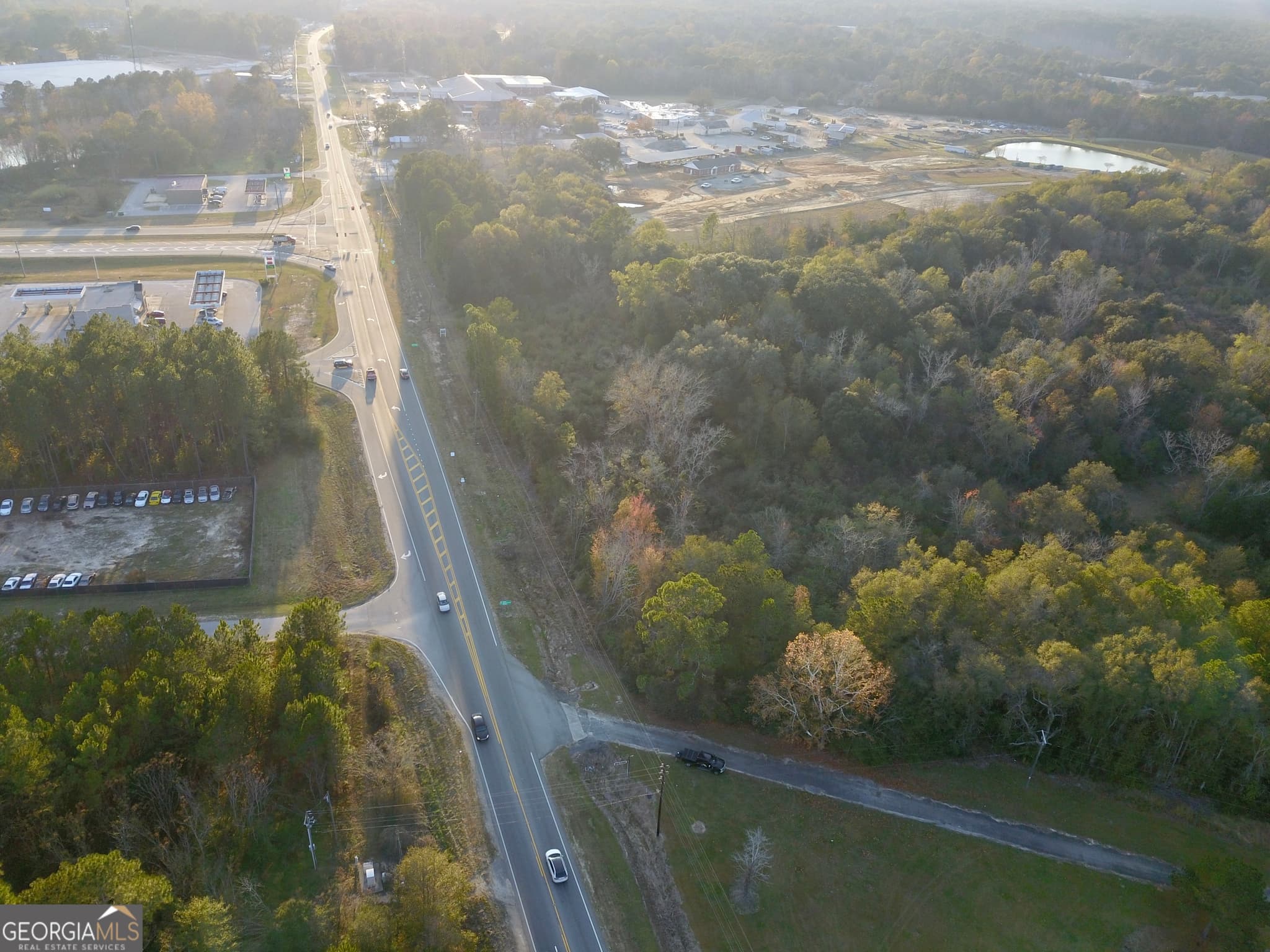 agriculture for sale at 0 Highway 301, Statesboro, GA 30461 — photo 5