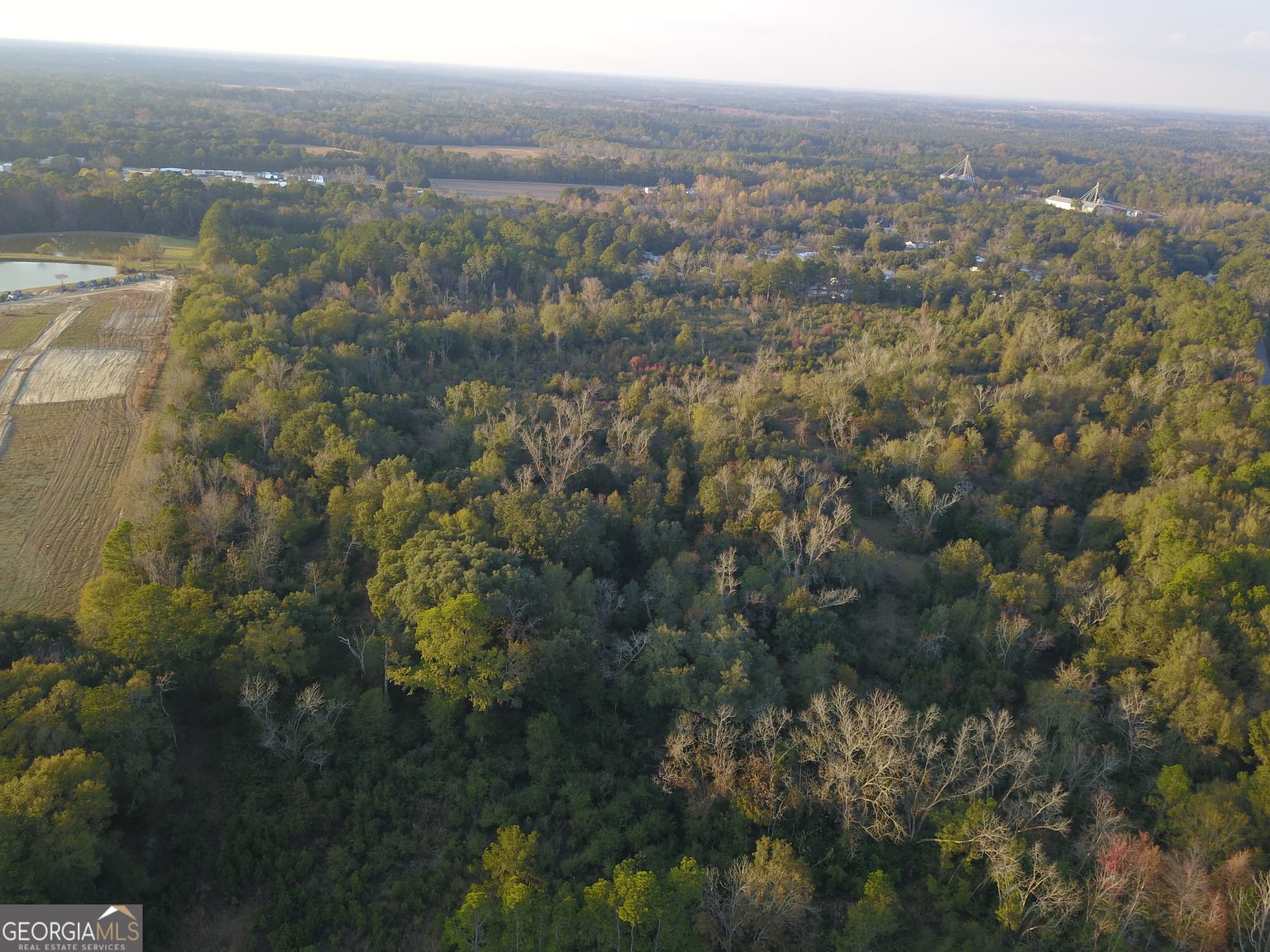 agriculture for sale at 0 Highway 301, Statesboro, GA 30461 — photo 9
