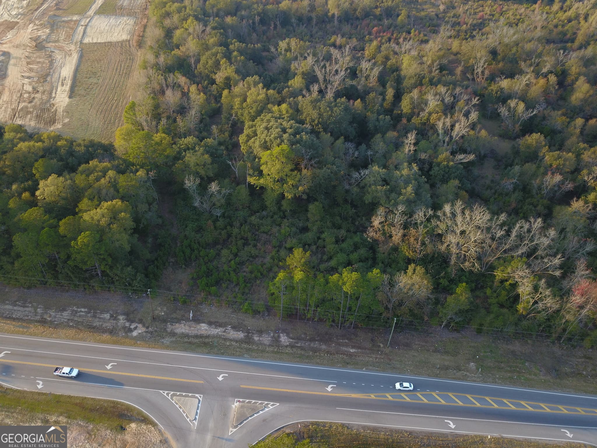 agriculture for sale at 0 Highway 301, Statesboro, GA 30461 — photo 10