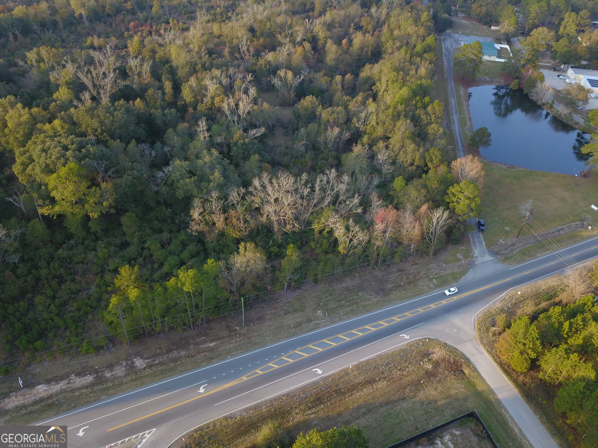 agriculture for sale at 0 Highway 301, Statesboro, GA 30461 — photo 4