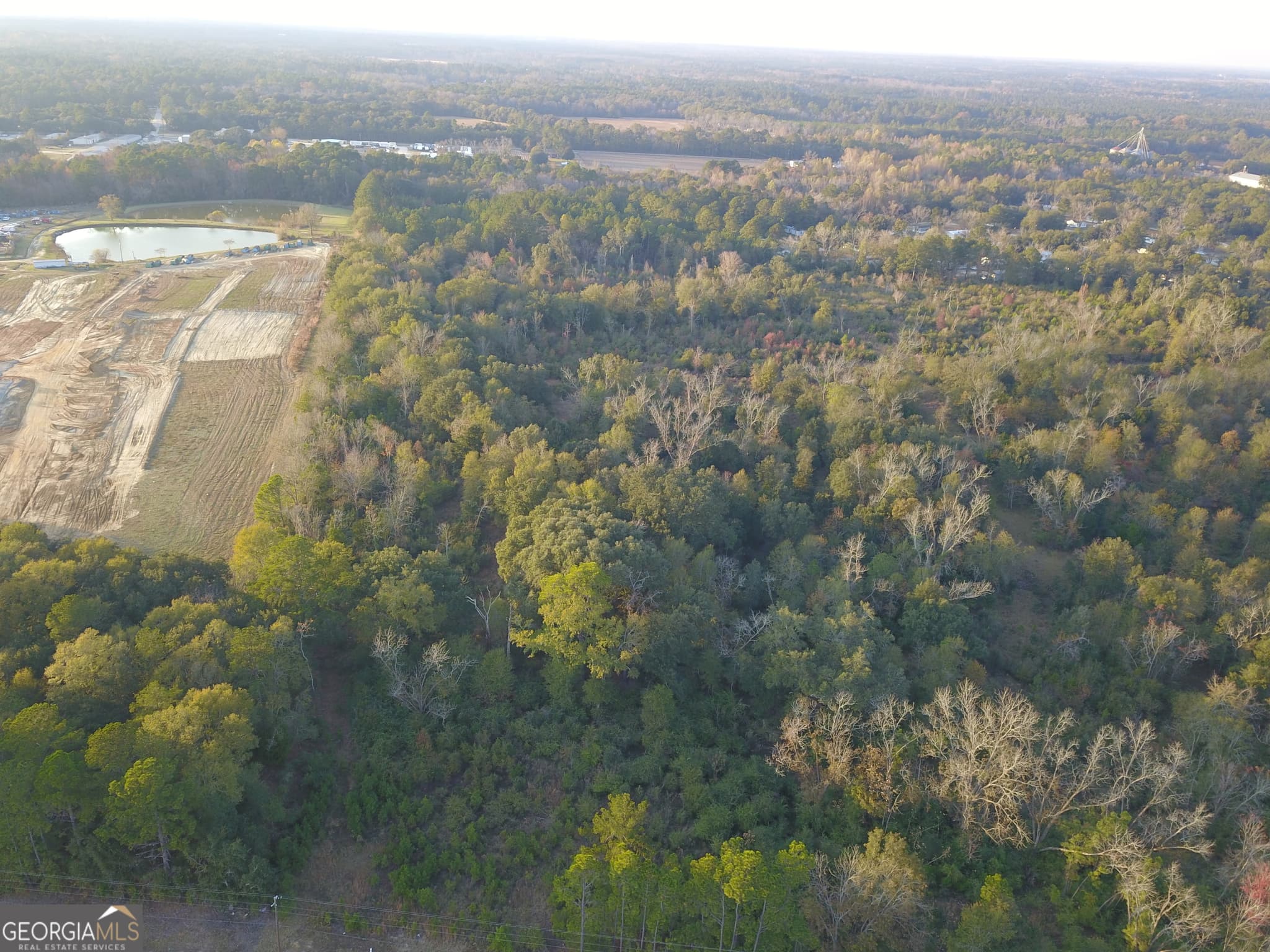 agriculture for sale at 0 Highway 301, Statesboro, GA 30461 — photo 8