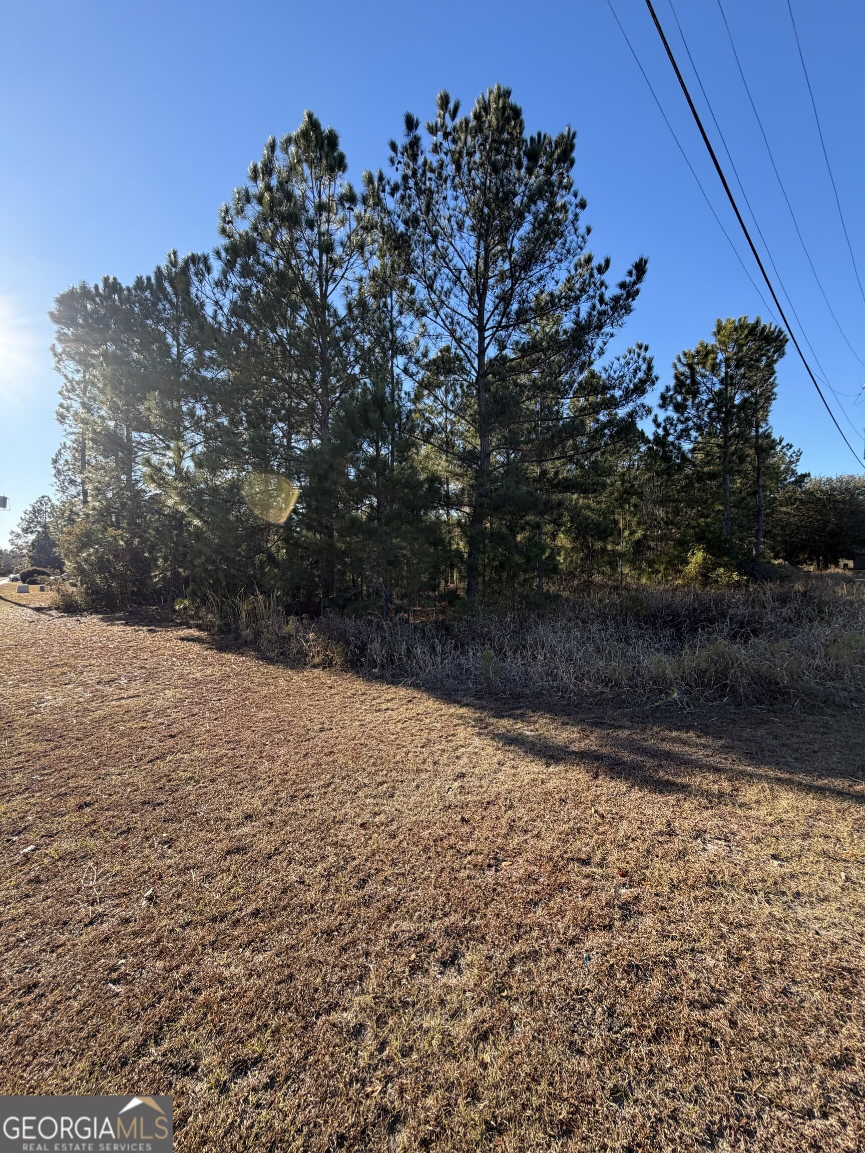 unimproved land for sale at 0 Weeping Willow Drive, Hinesville, GA 31313 — photo 6