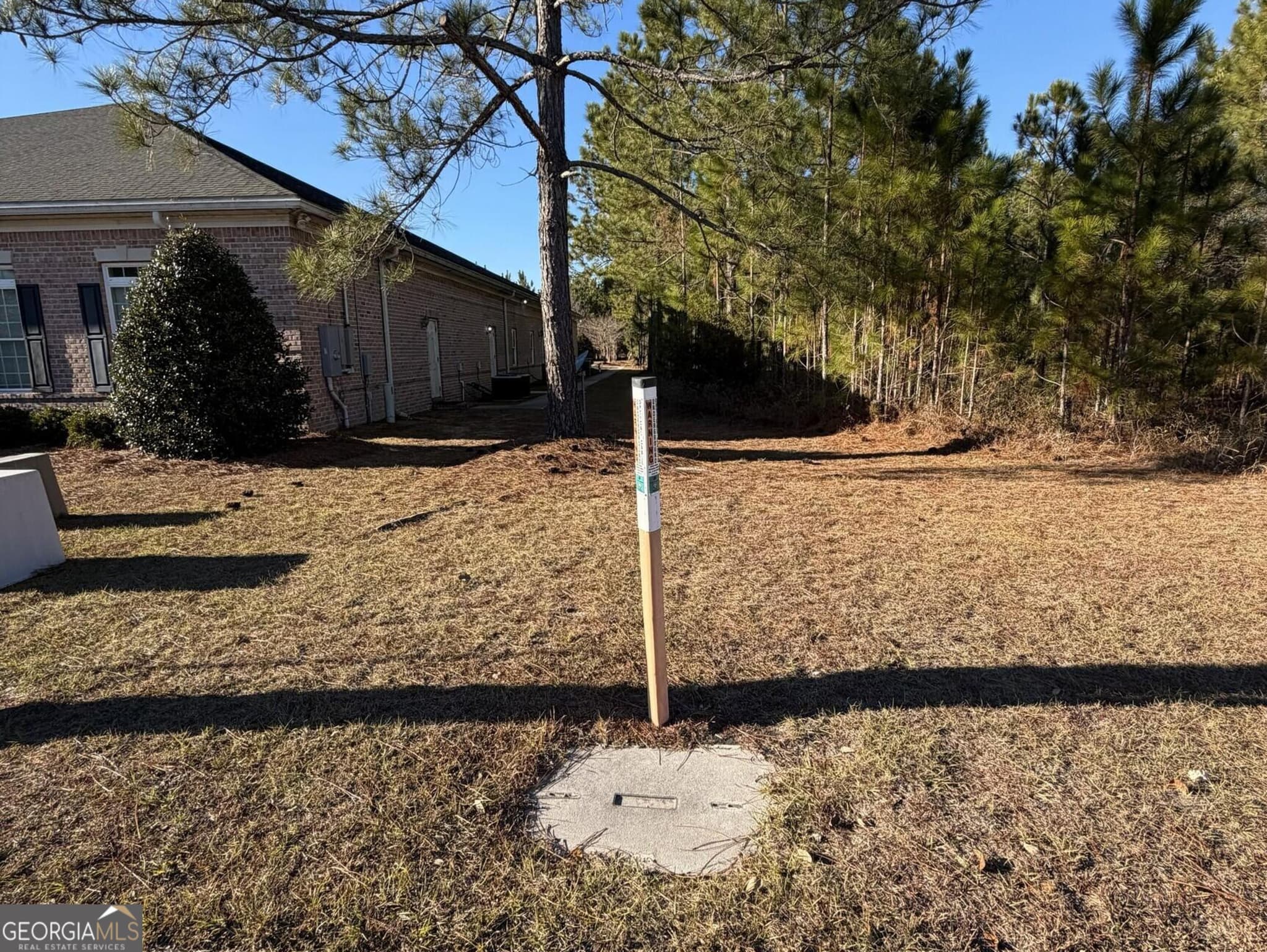 unimproved land for sale at 0 Weeping Willow Drive, Hinesville, GA 31313 — photo 5