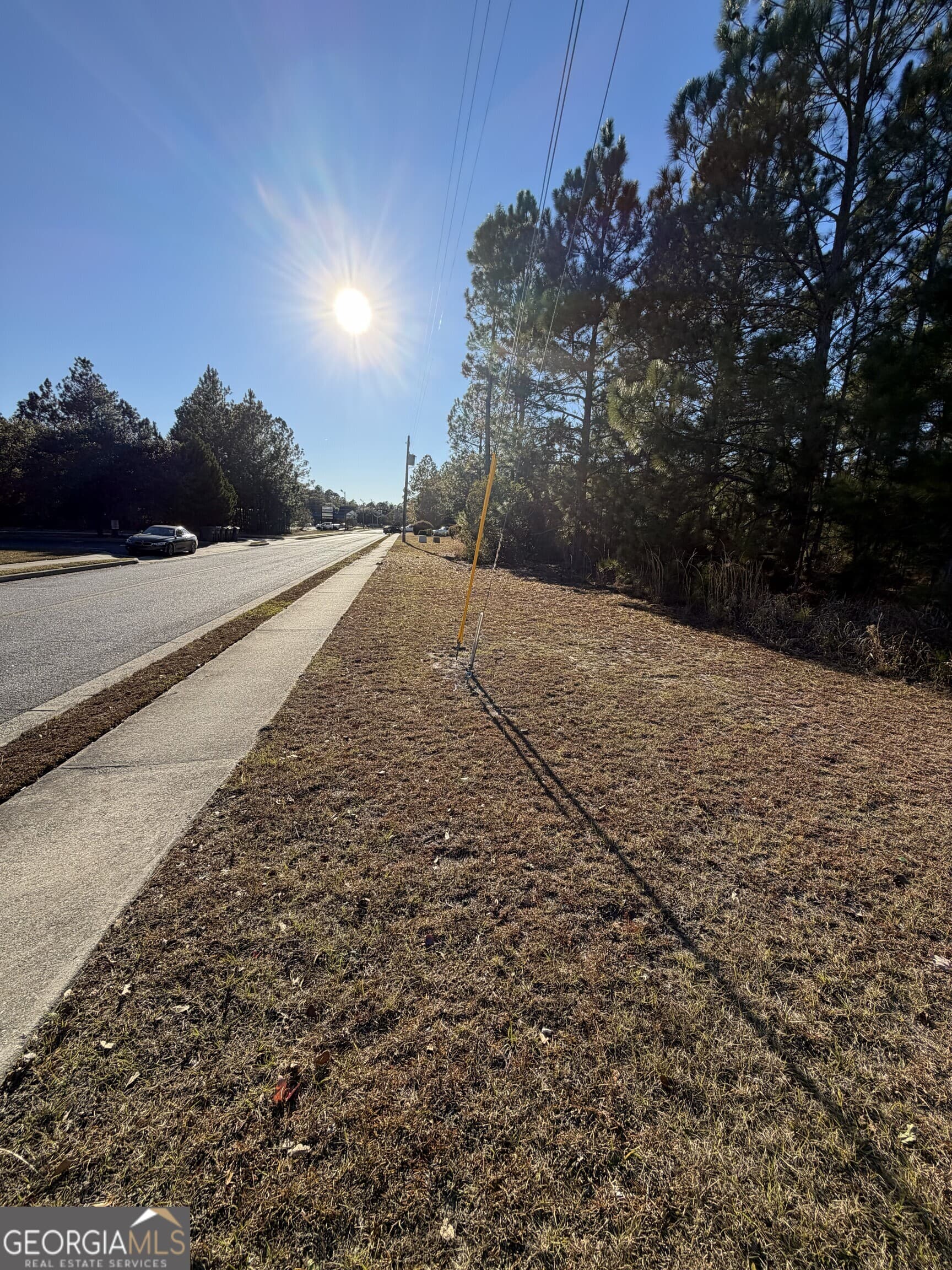 unimproved land for sale at 0 Weeping Willow Drive, Hinesville, GA 31313 — photo 4