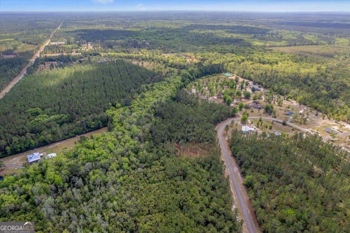 residential lot for sale at LOT 22 Heritage Way, Hortense, GA 31543 — photo 6