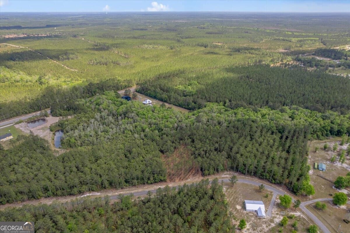 residential lot for sale at LOT 22 Heritage Way, Hortense, GA 31543 — photo 7