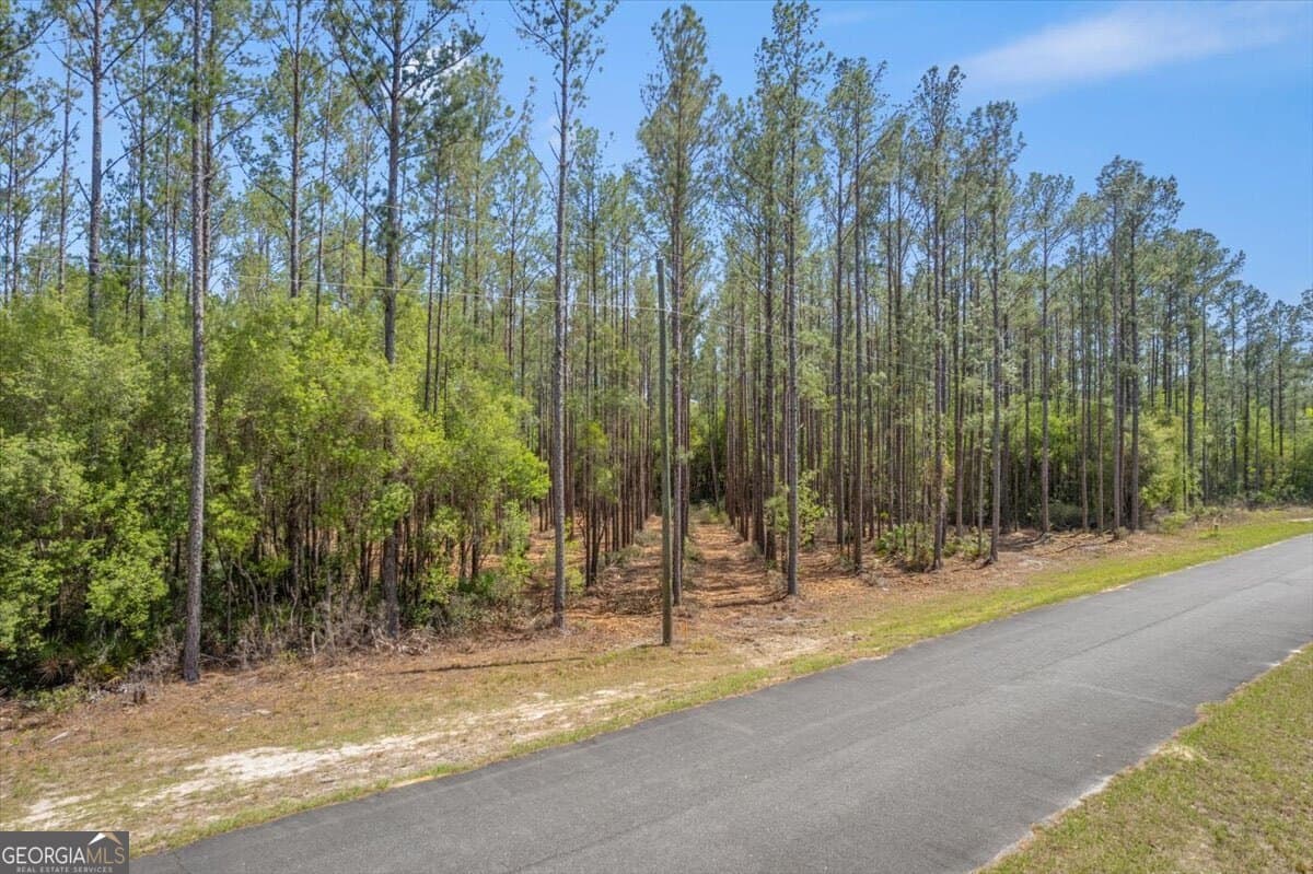 residential lot for sale at LOT 22 Heritage Way, Hortense, GA 31543 — photo 3
