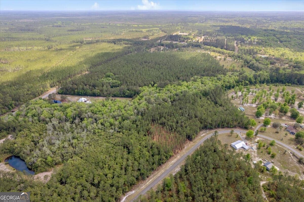 residential lot for sale at LOT 22 Heritage Way, Hortense, GA 31543 — photo 5