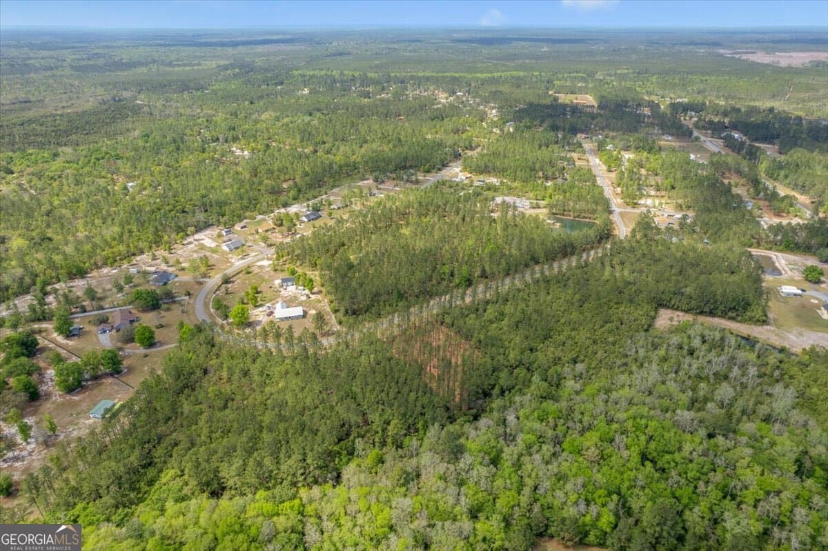 residential lot for sale at LOT 22 Heritage Way, Hortense, GA 31543 — photo 9