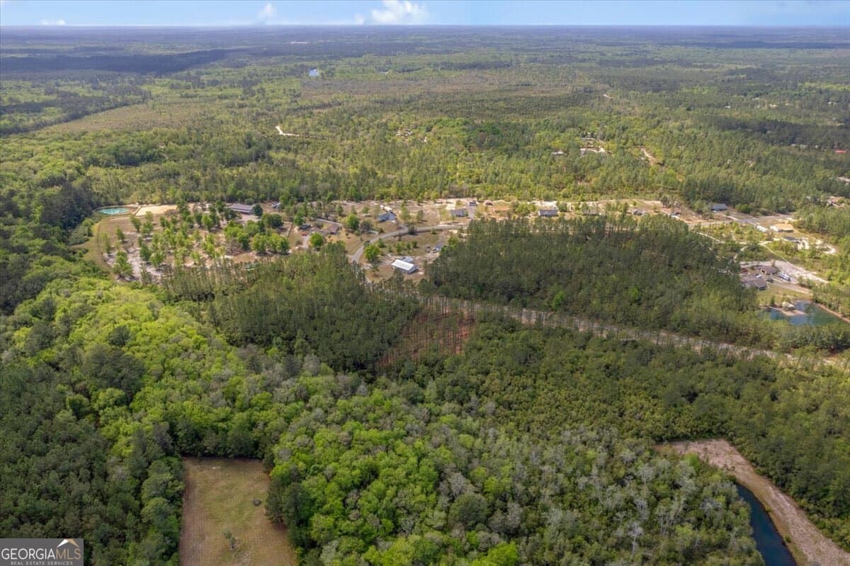 residential lot for sale at LOT 22 Heritage Way, Hortense, GA 31543 — photo 10