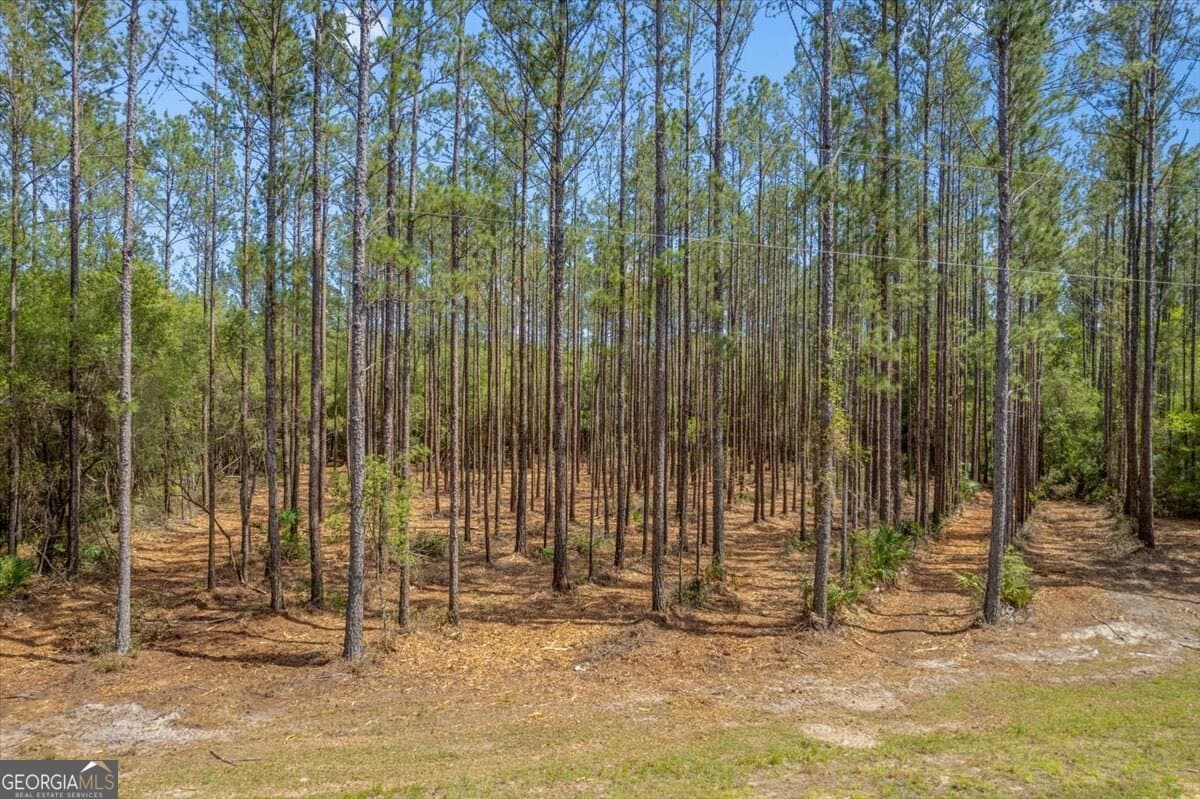 residential lot for sale at LOT 22 Heritage Way, Hortense, GA 31543 — photo 4