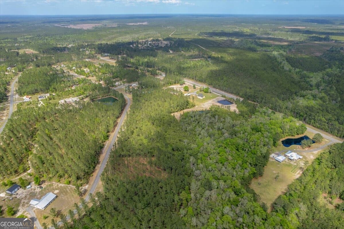 residential lot for sale at LOT 22 Heritage Way, Hortense, GA 31543 — photo 8