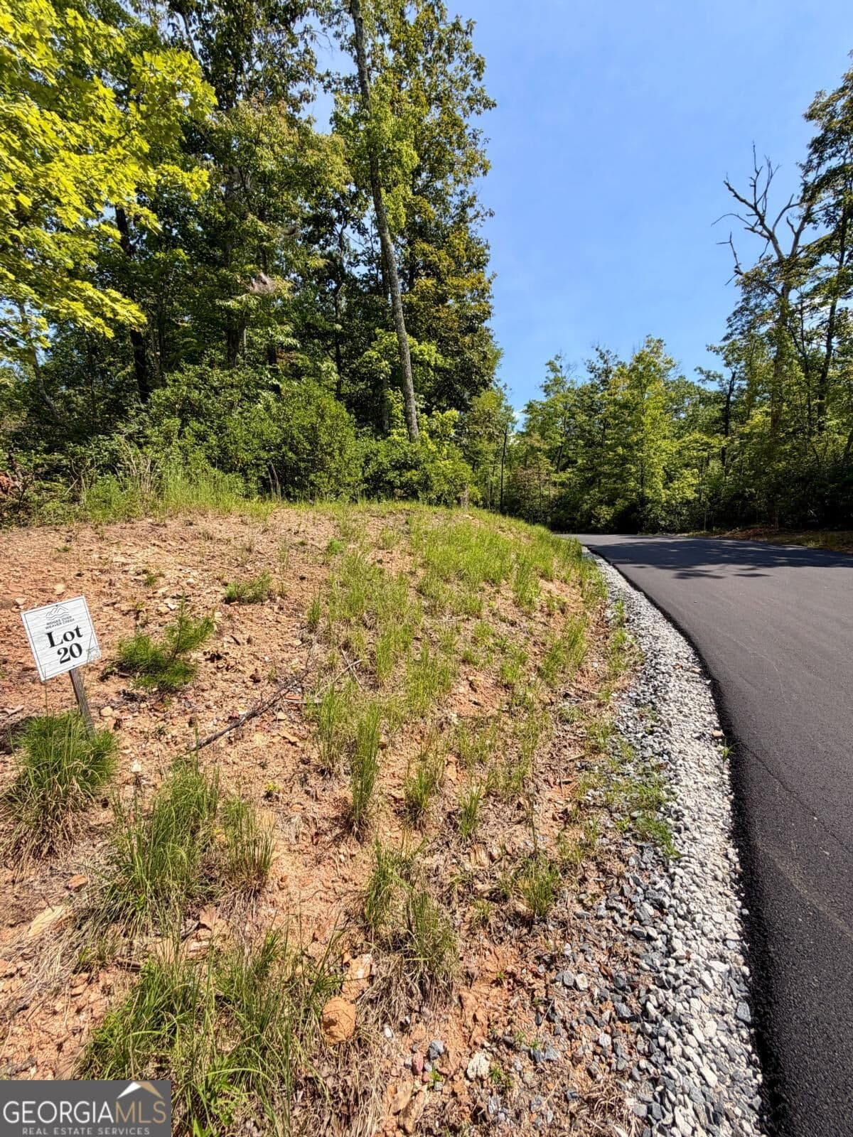 residential lot for sale at LOT 20 Turquoise Ridge, Blue Ridge, GA 30513 — photo 2