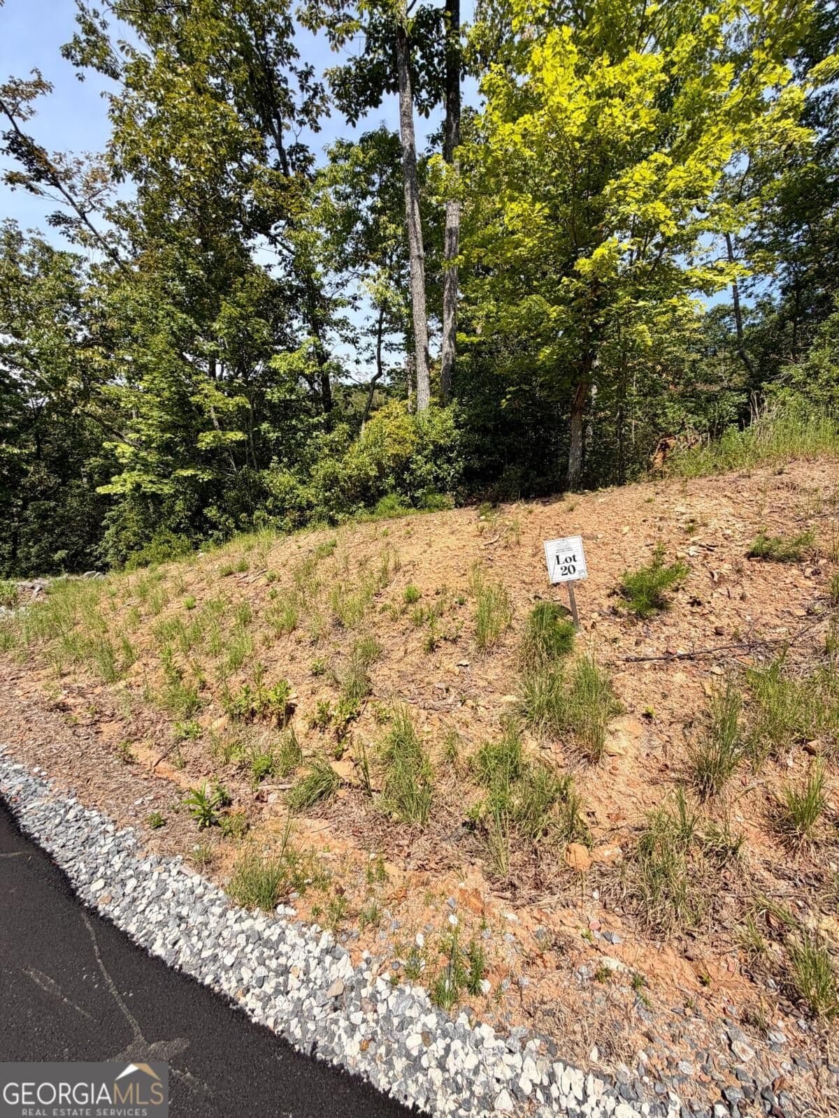 residential lot for sale at LOT 20 Turquoise Ridge, Blue Ridge, GA 30513 — photo 3