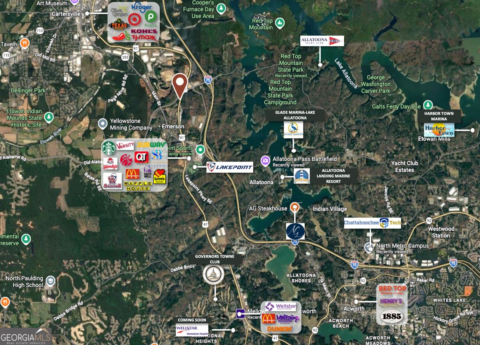 unimproved land for sale at 0 Red Top Mountain Road, Emerson, GA 30137 — photo 4