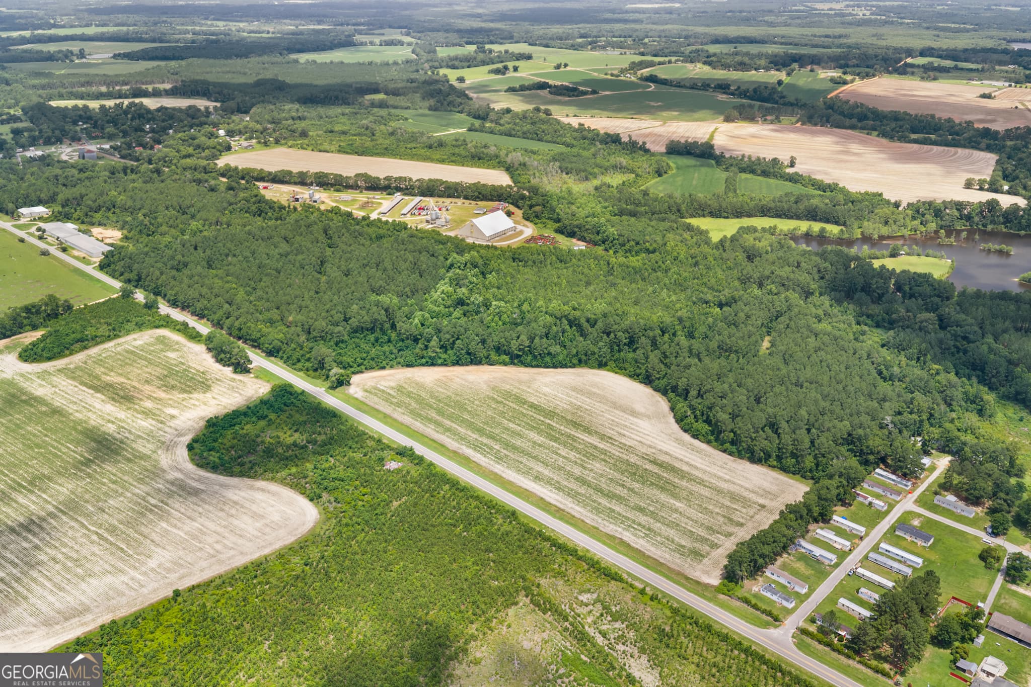 unimproved land for sale at 0 Highway 46, Register, GA 30452 — photo 2
