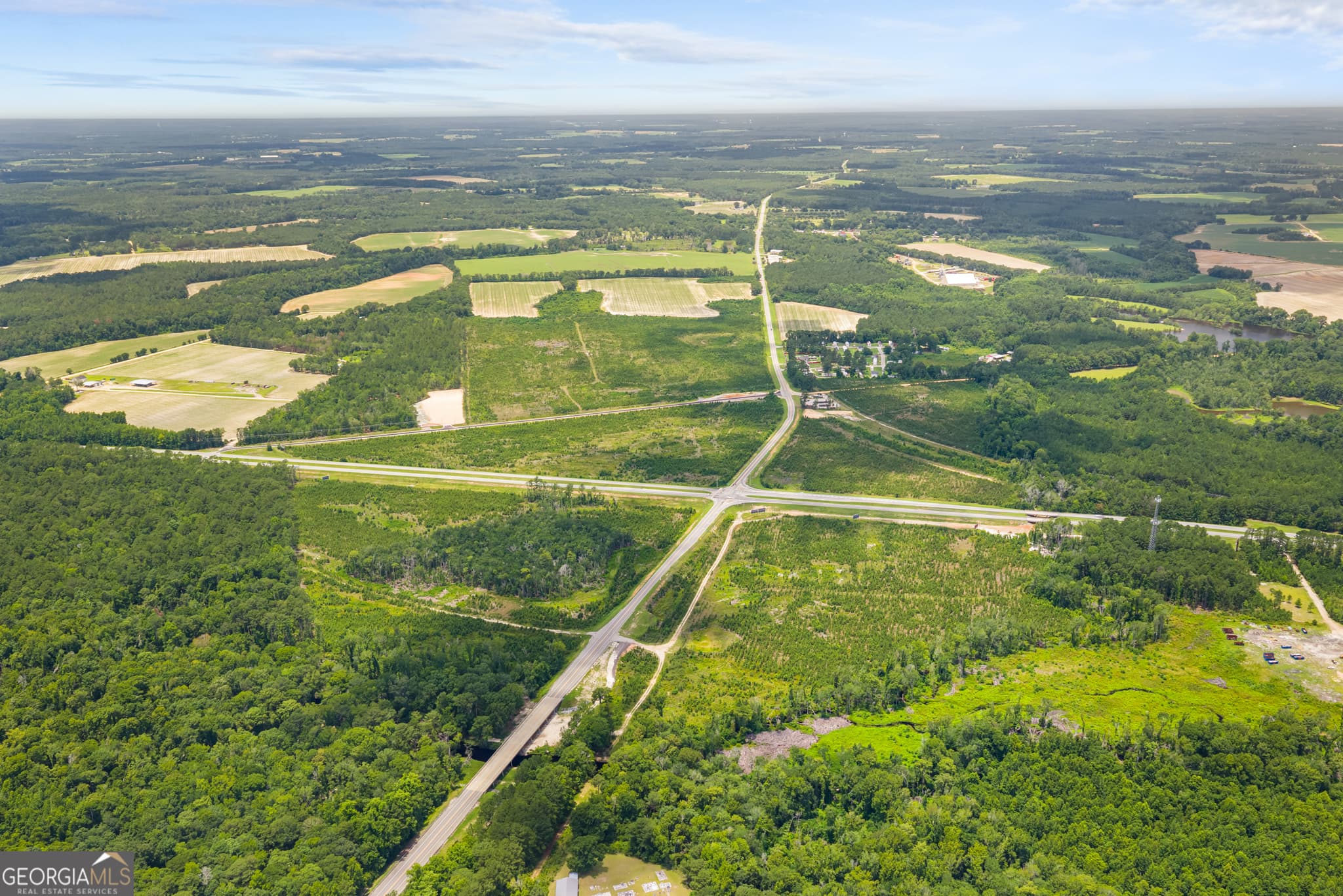 unimproved land for sale at 0 Highway 46, Register, GA 30452 — photo 6