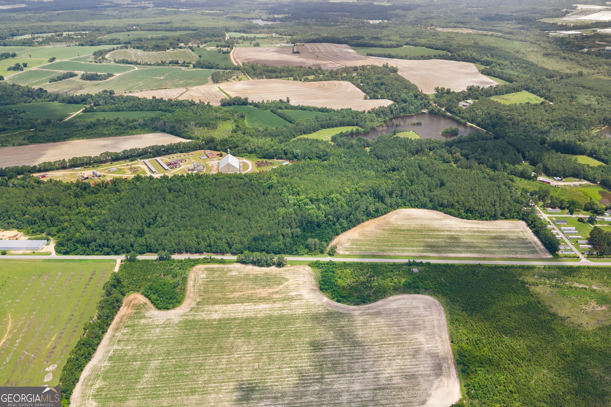 unimproved land for sale at 0 Highway 46, Register, GA 30452 — photo 3
