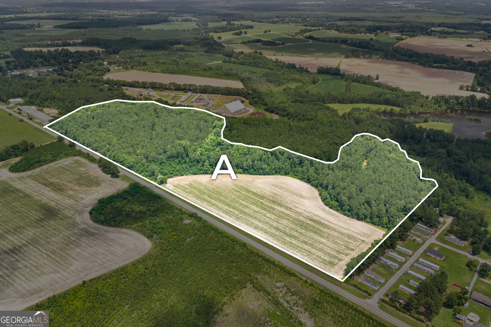 unimproved land for sale at 0 Highway 46, Register, GA 30452 — photo 1 of 6