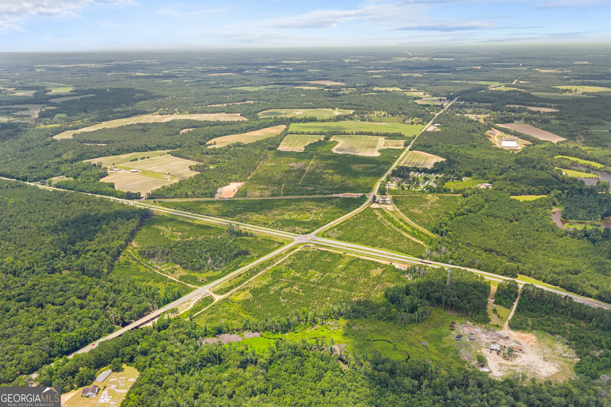 unimproved land for sale at 0 Highway 46, Register, GA 30452 — photo 5