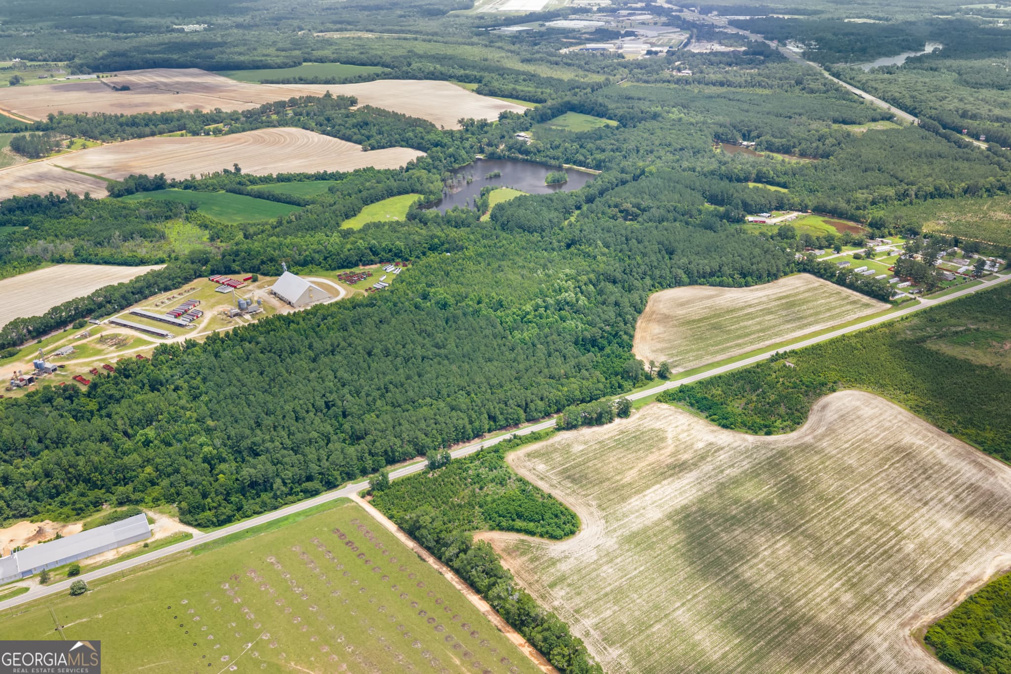 unimproved land for sale at 0 Highway 46, Register, GA 30452 — photo 4
