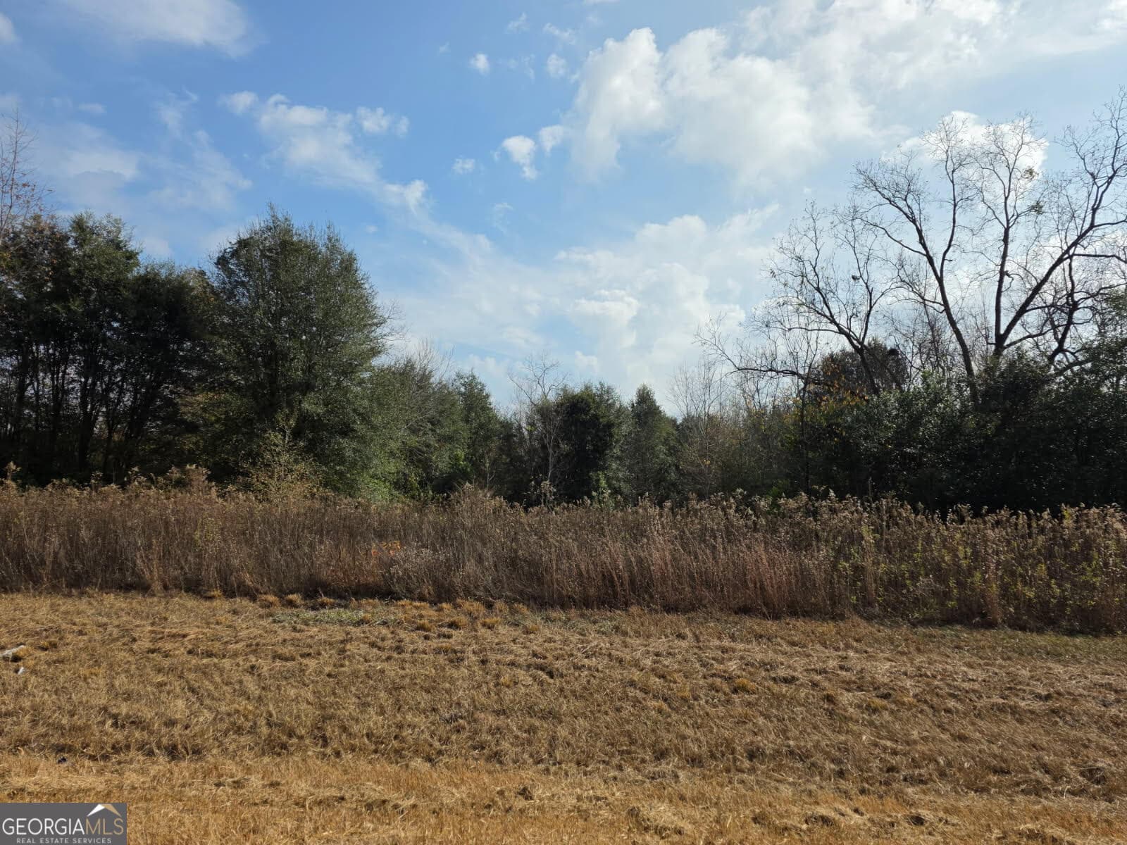 residential lot for sale at 6224 Newton Road, Albany, GA 31721 — photo 1 of 1