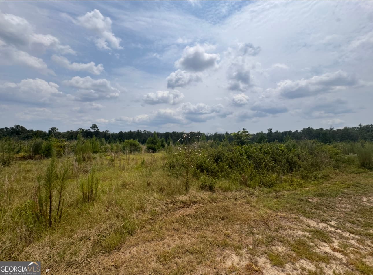 unimproved land for sale at 0 Rose Hollow Road, Lyons, GA 30436 — photo 2