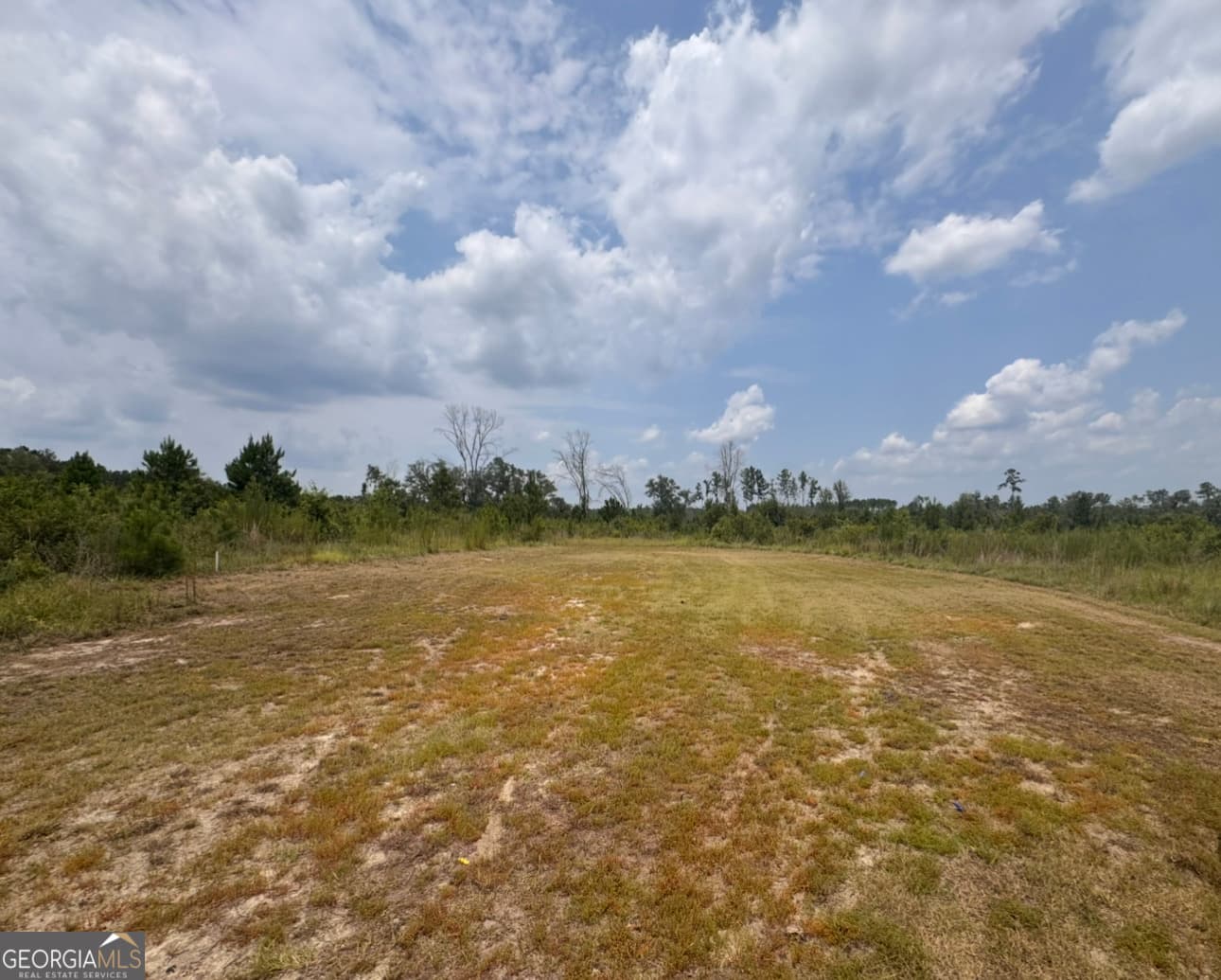 unimproved land for sale at 0 Rose Hollow Road, Lyons, GA 30436 — photo 3