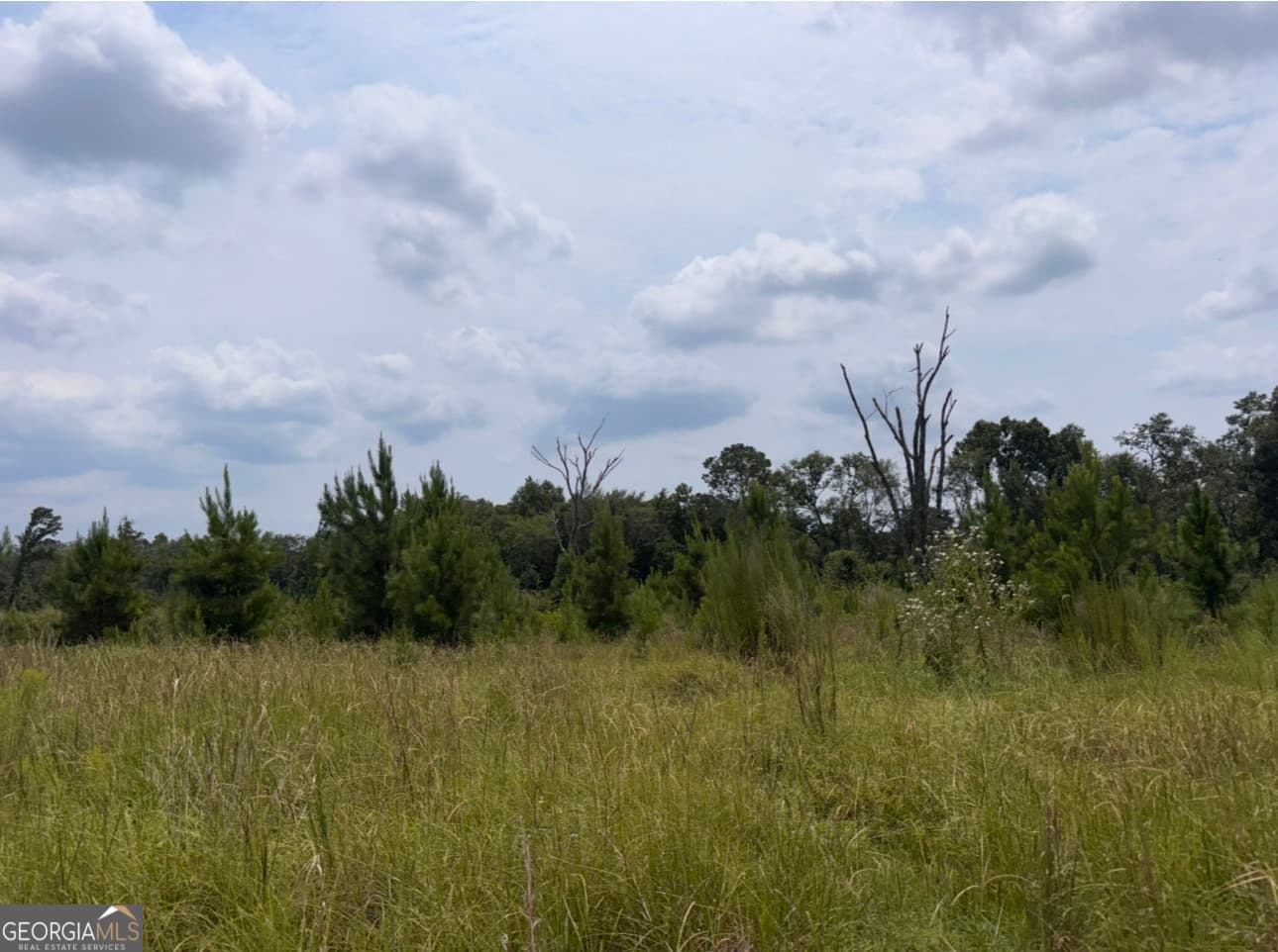 unimproved land for sale at 0 Rose Hollow Road, Lyons, GA 30436 — photo 1 of 4
