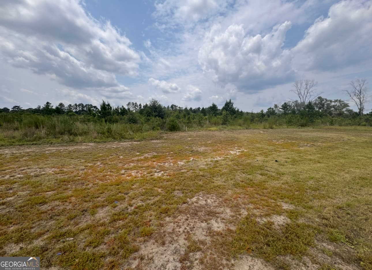 unimproved land for sale at 0 Rose Hollow Road, Lyons, GA 30436 — photo 4