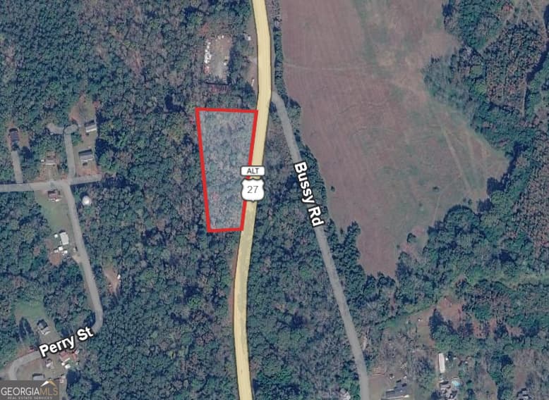 unimproved land for sale at 0 Ga Highway 85, Waverly Hall, GA 31831 — photo 2